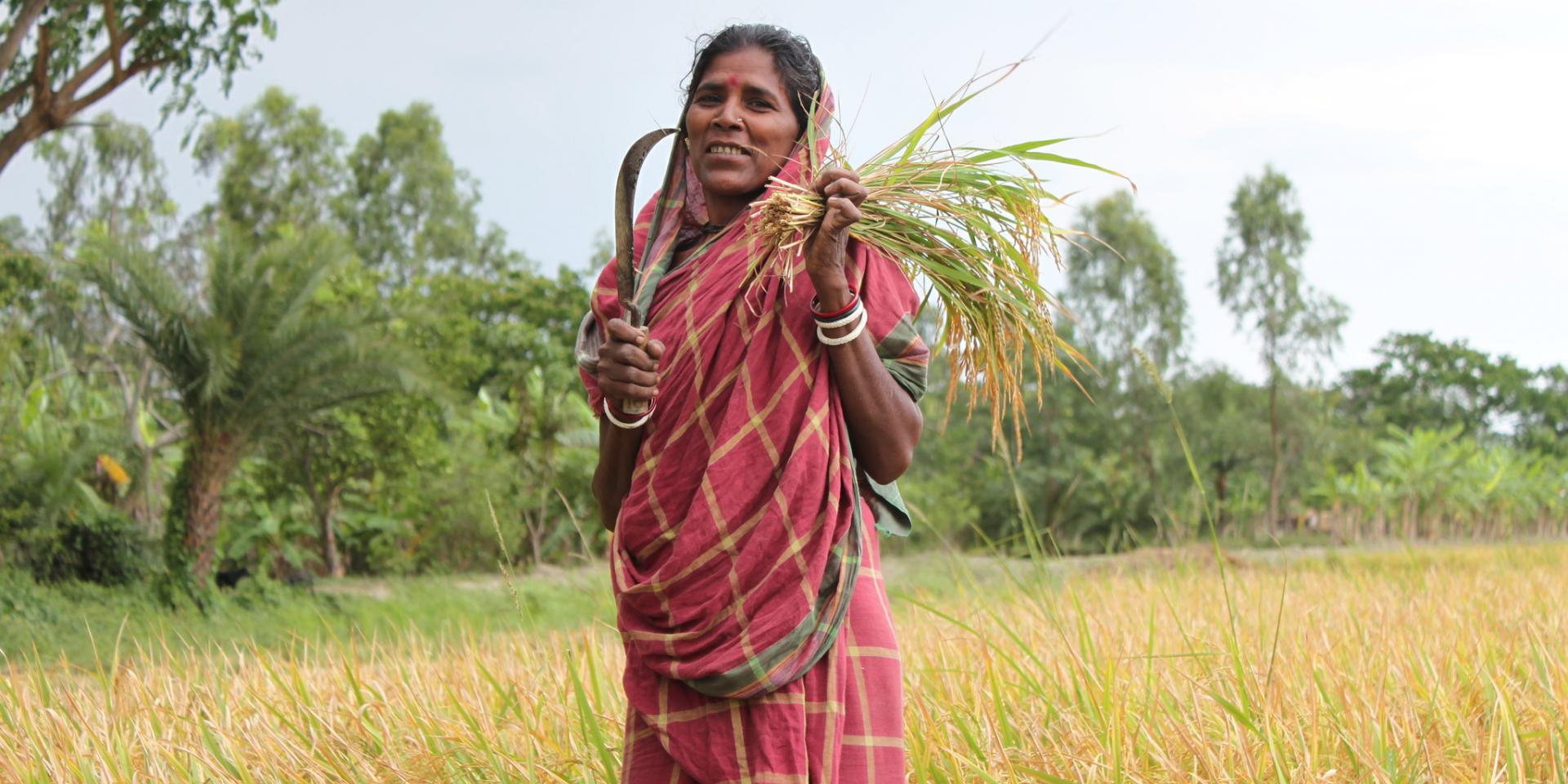A West Bengali woman harvesting her crops. In India, 74.5 percent of rural women are agricultural workers but only 9.3 percent own the land.  