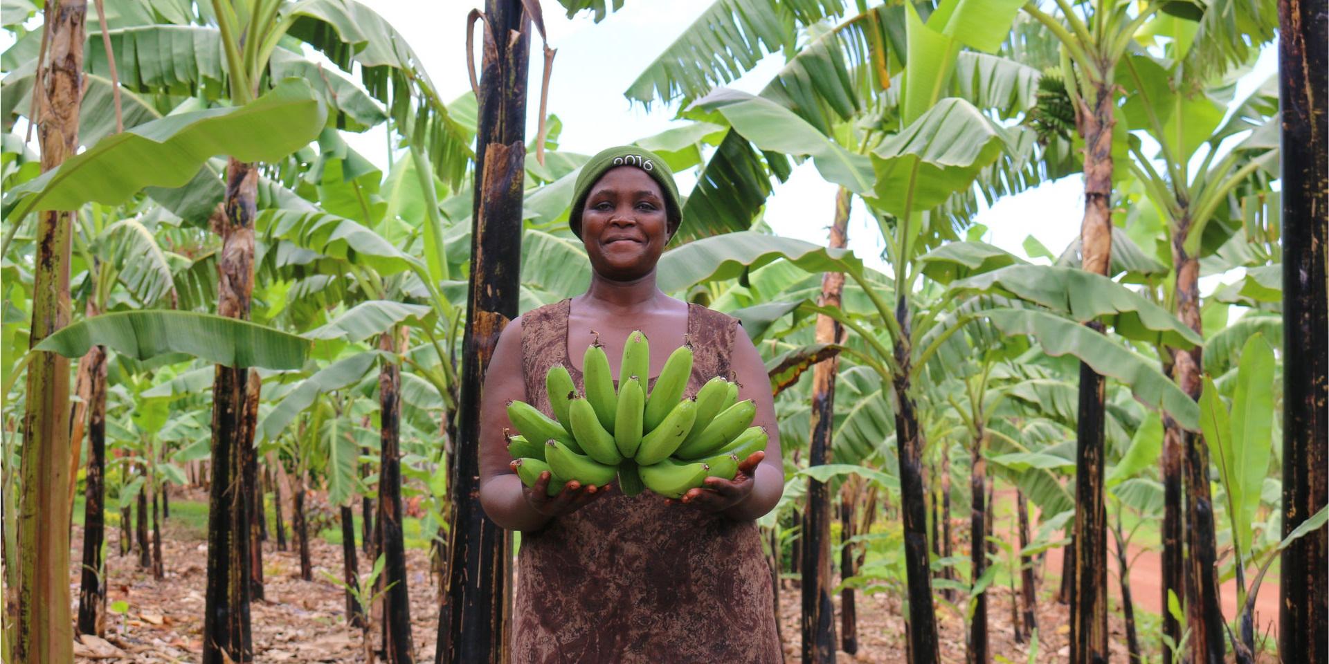 A smiling woman stands in her banana plantation holding green bananas in her hands