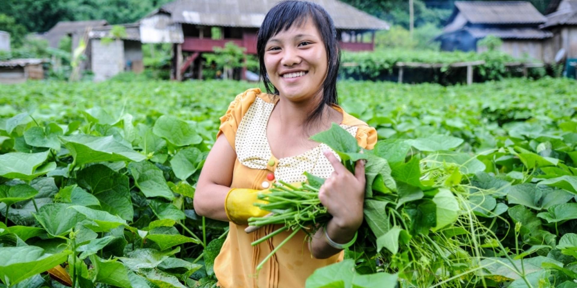 A young farmer