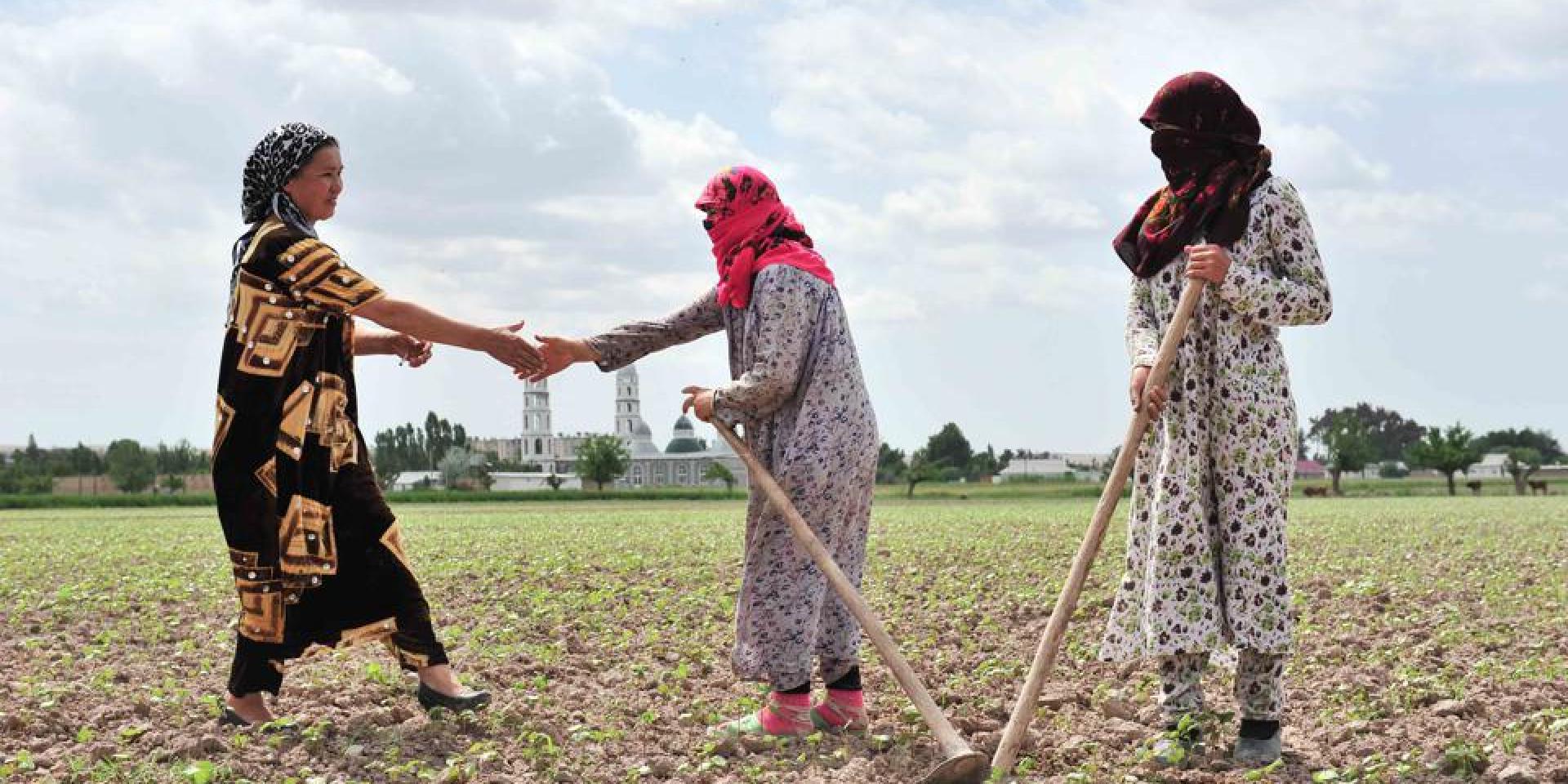 Women working in a field