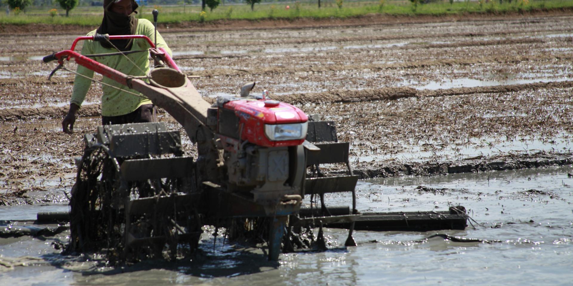 A man tills rice field