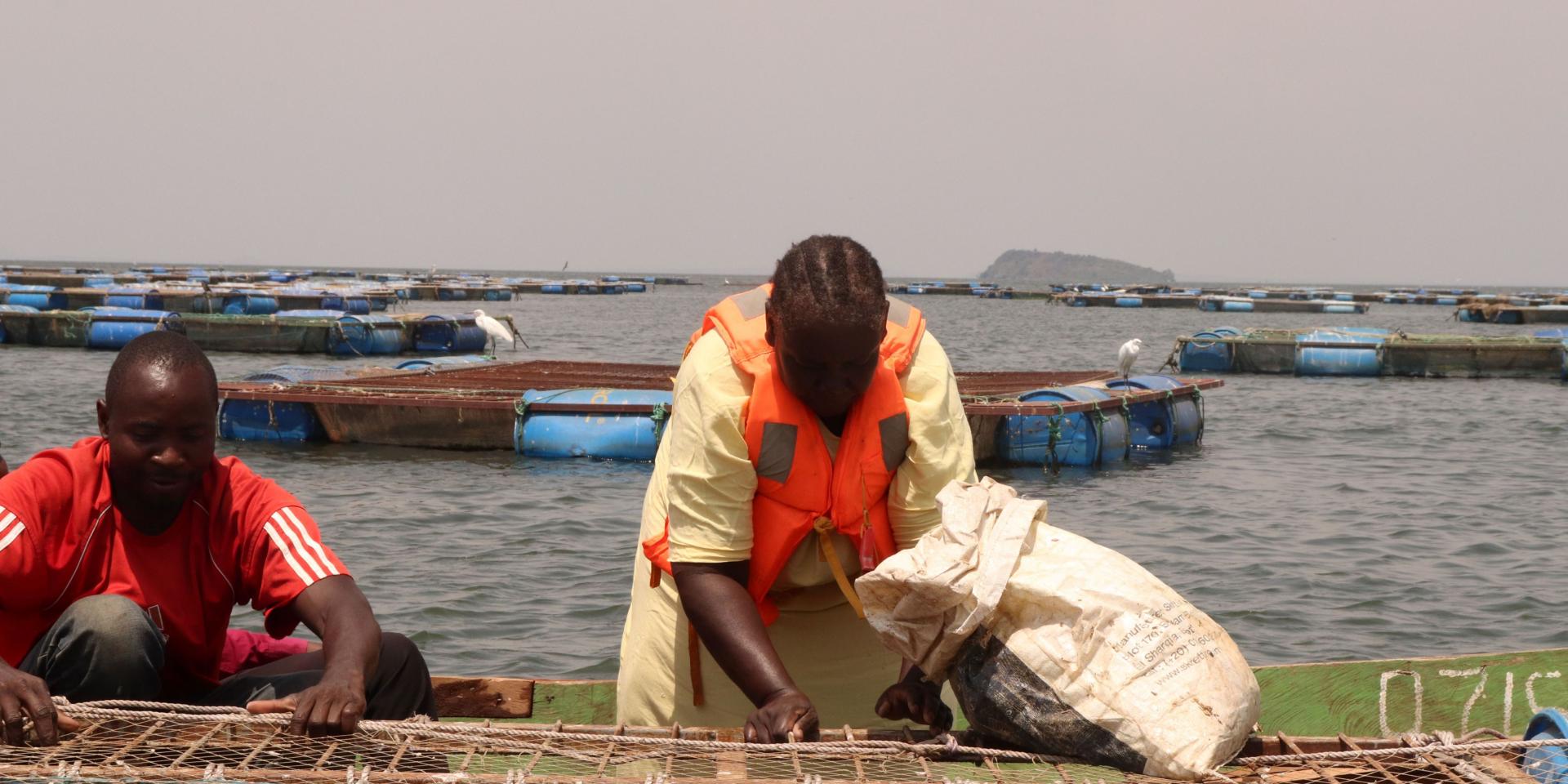 A-woman-feeding-fish-in-thier-cage-at-Mulukoba-Beach-in-Busia-County.-1