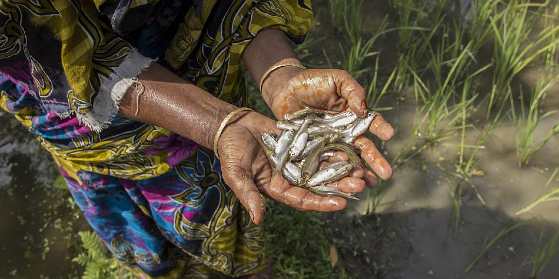 Photo of woman holding mola