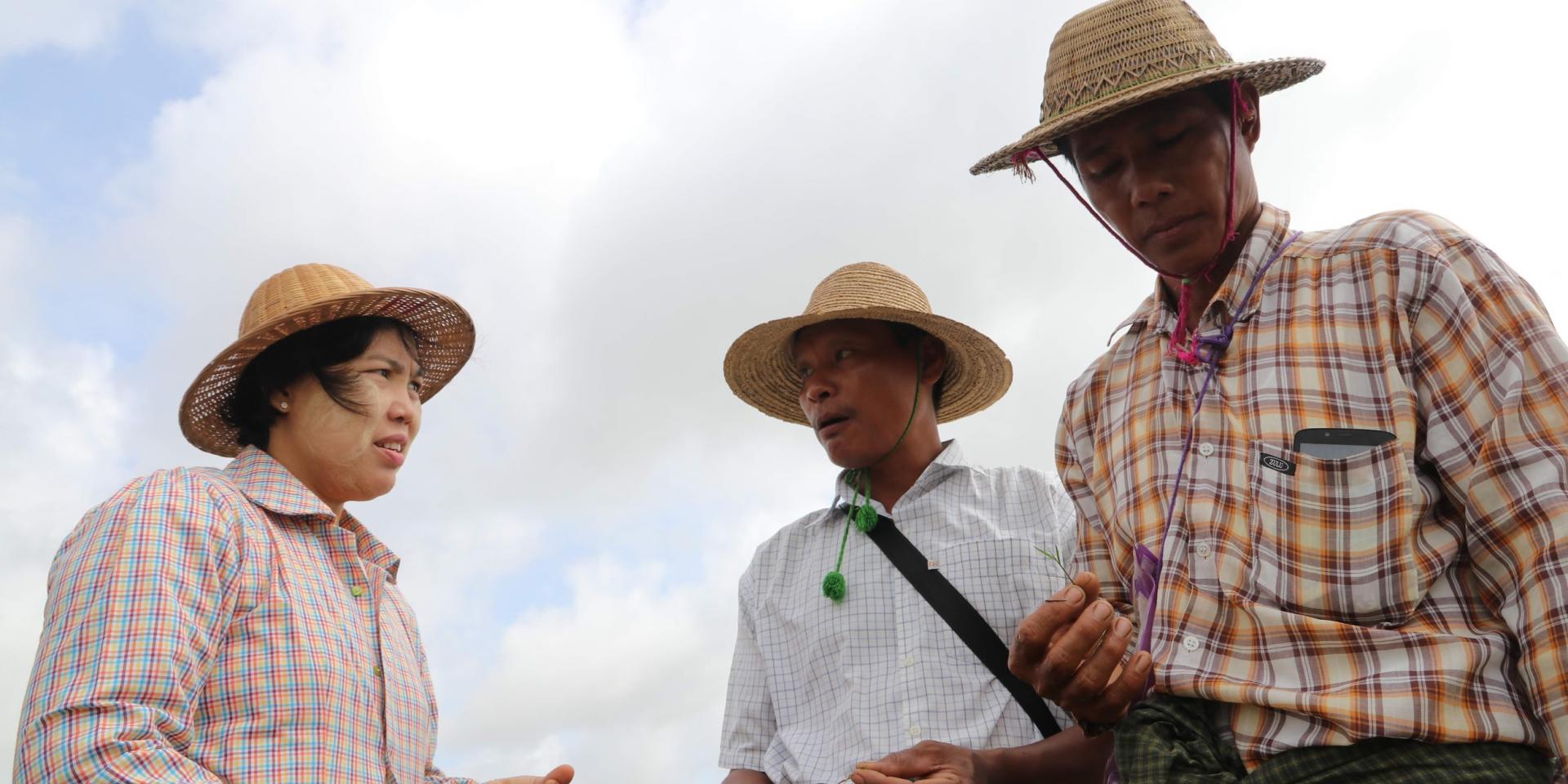 A woman and two men talking