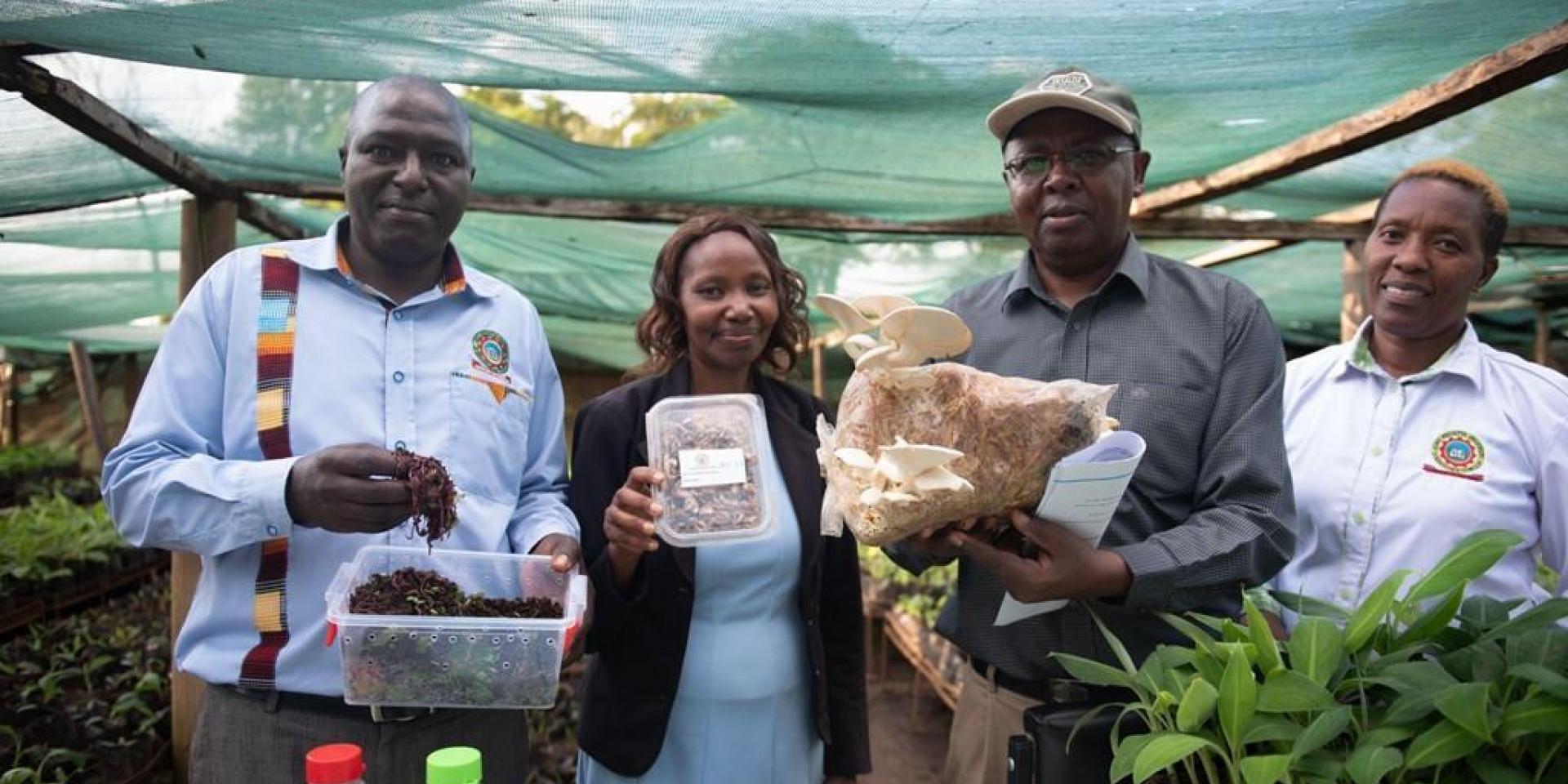 Four people standing under green net with plants