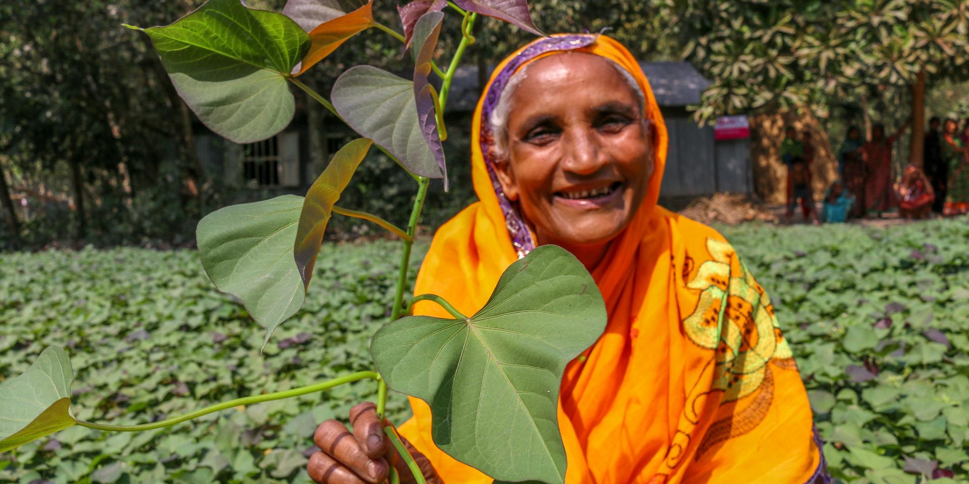 A farmer