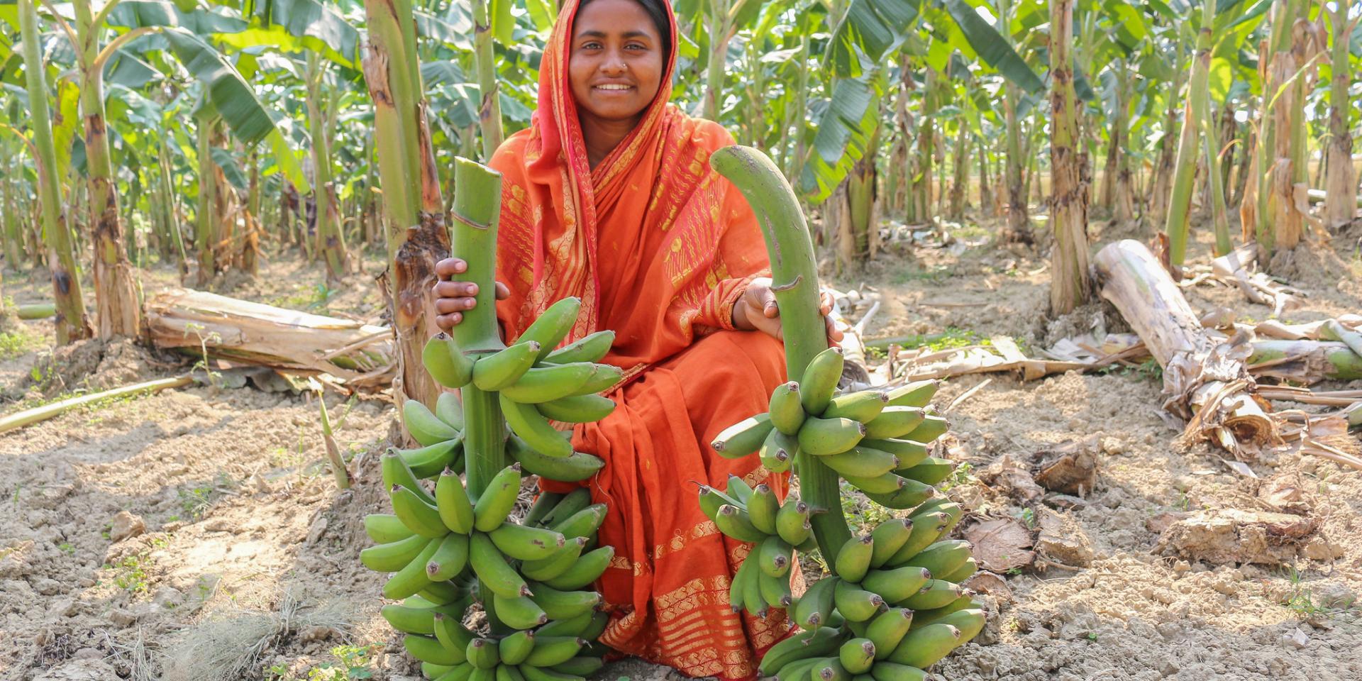 Farmer in Bangladesh. Photo: S Quinn/CIP.