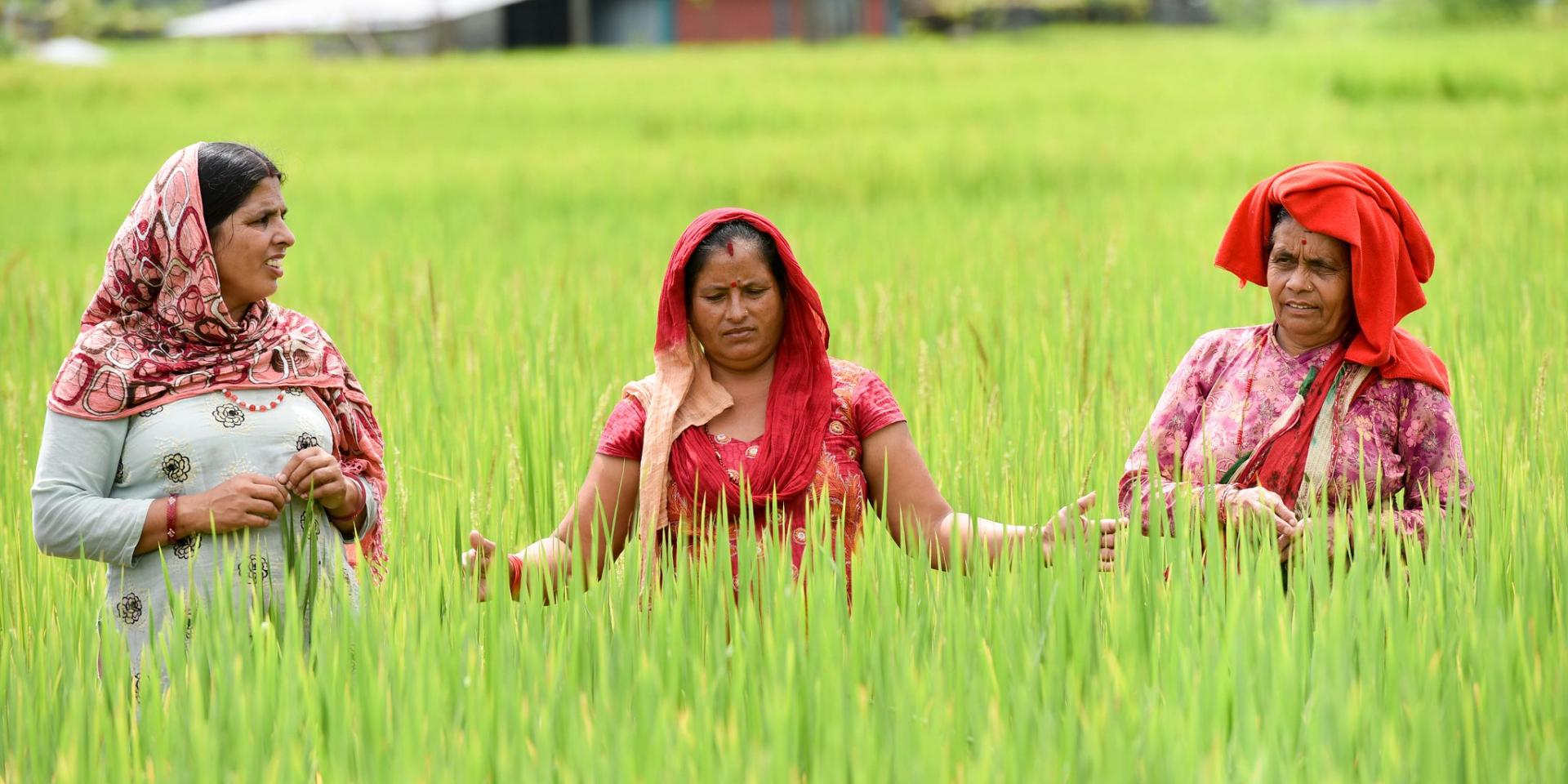 Photo of farmers in Nepal.