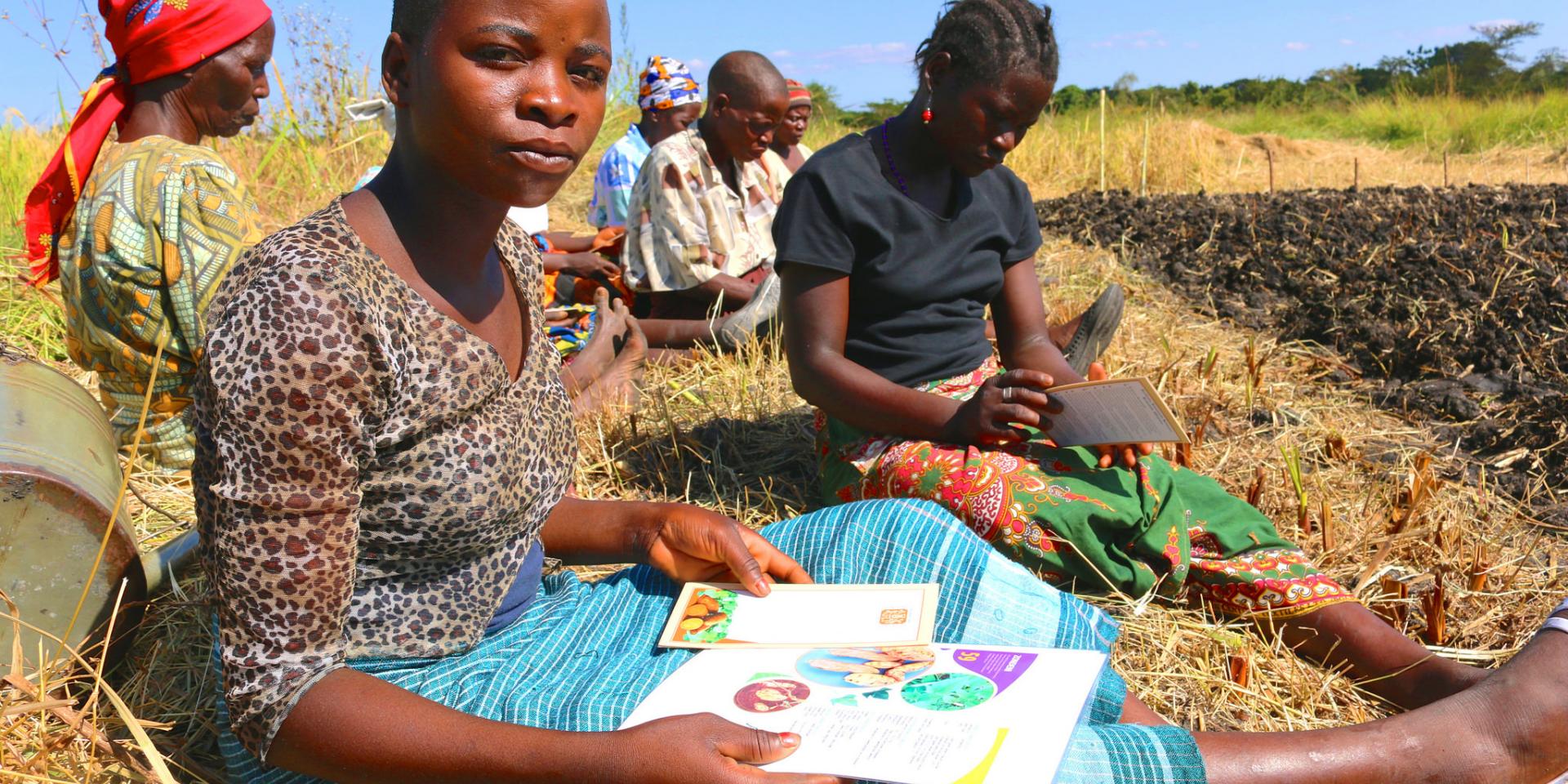 Participants review OFSP variety information _ education material on nutrition and OFSP