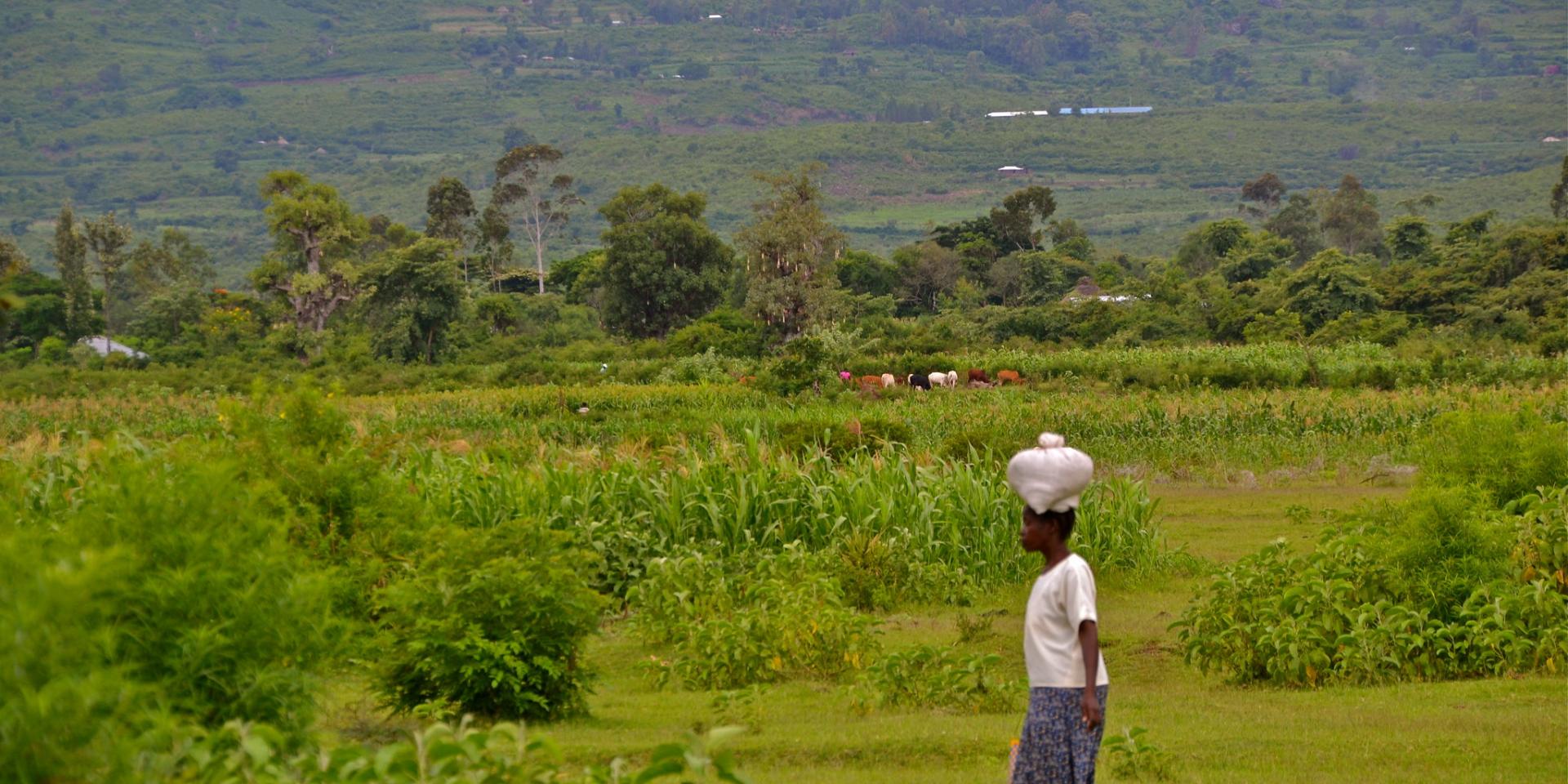 Woman in Kenyan landscape