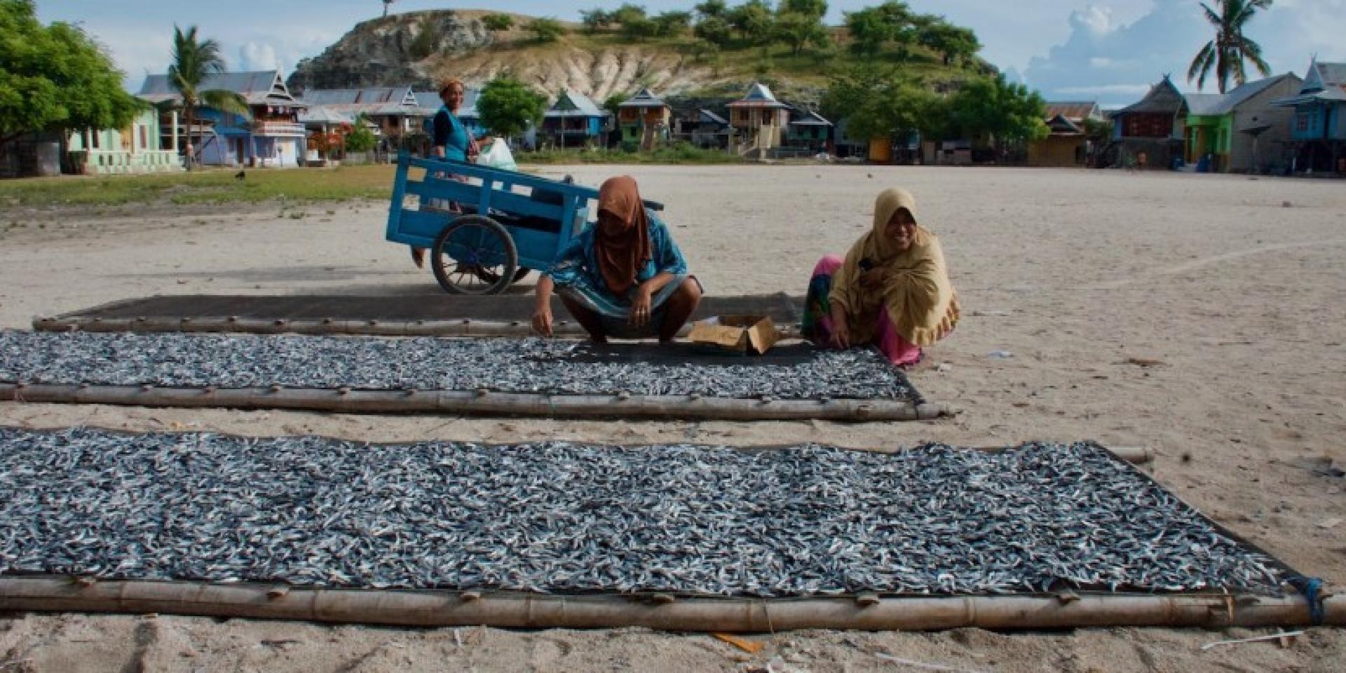 Women drying fish