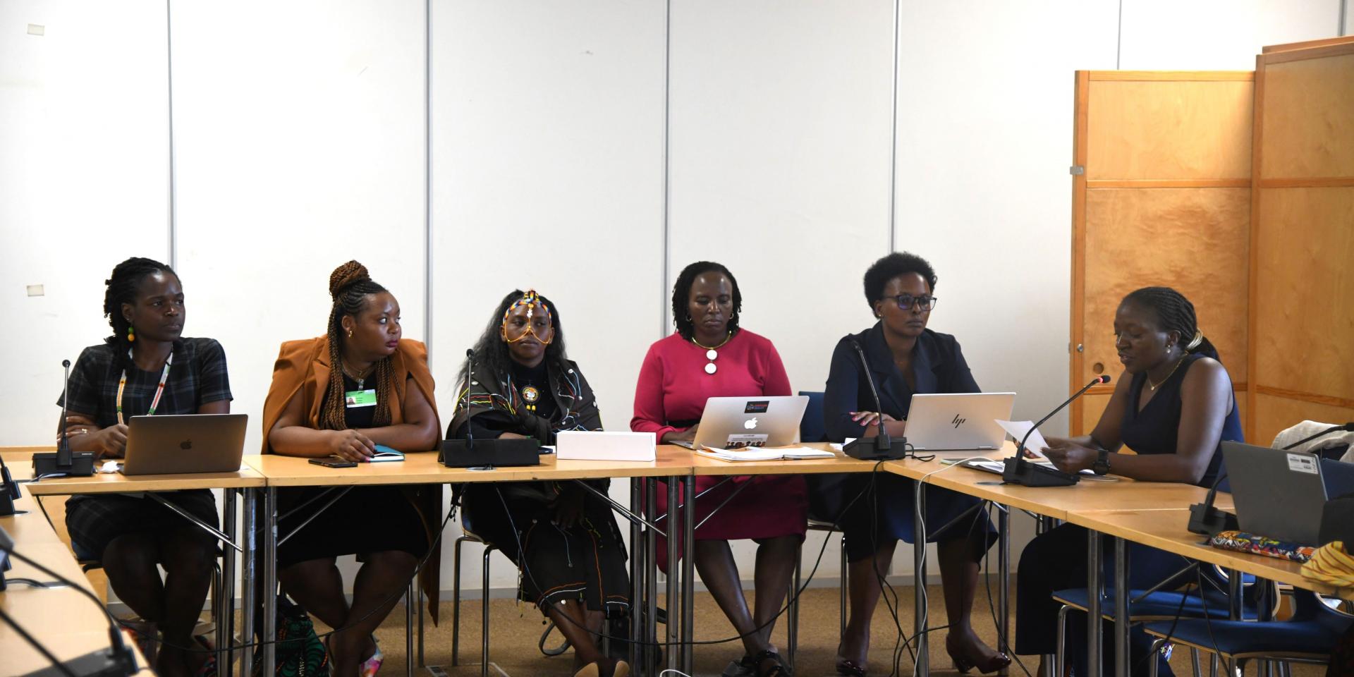 Panel at the UN event