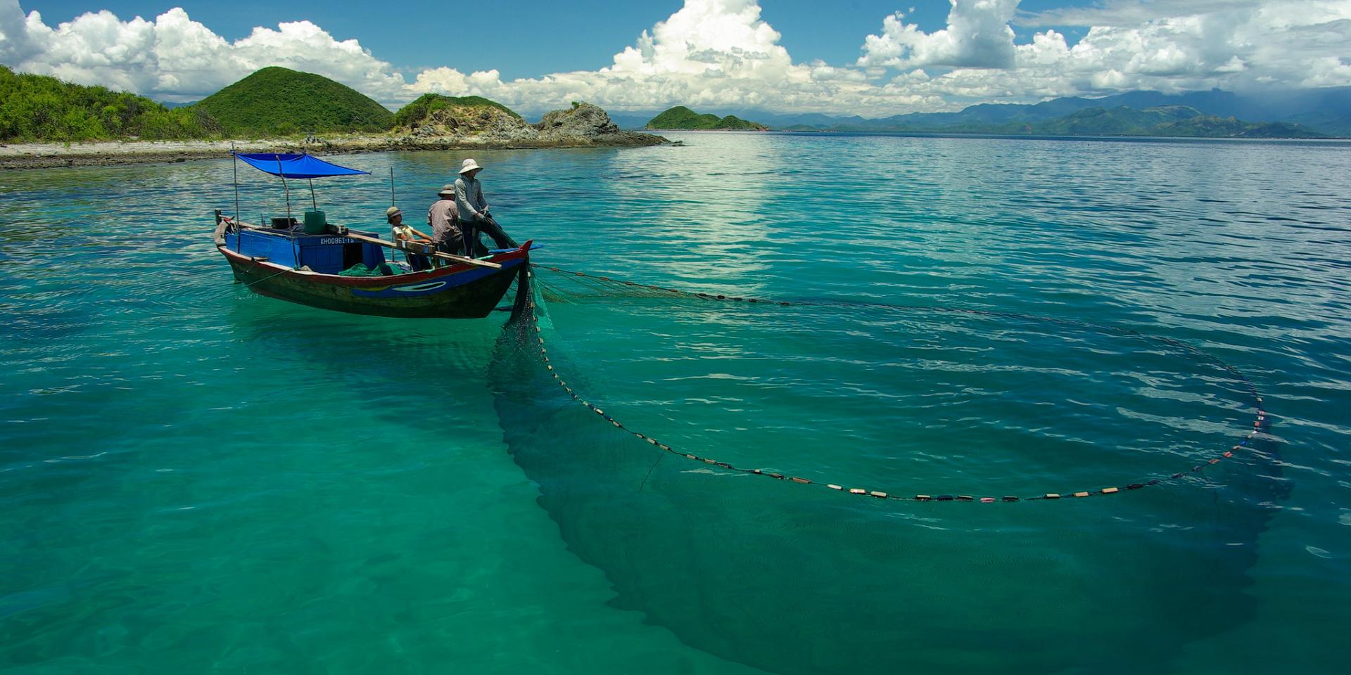Purse seine fishermen fish for squid and cuttlefish in Vietnam.