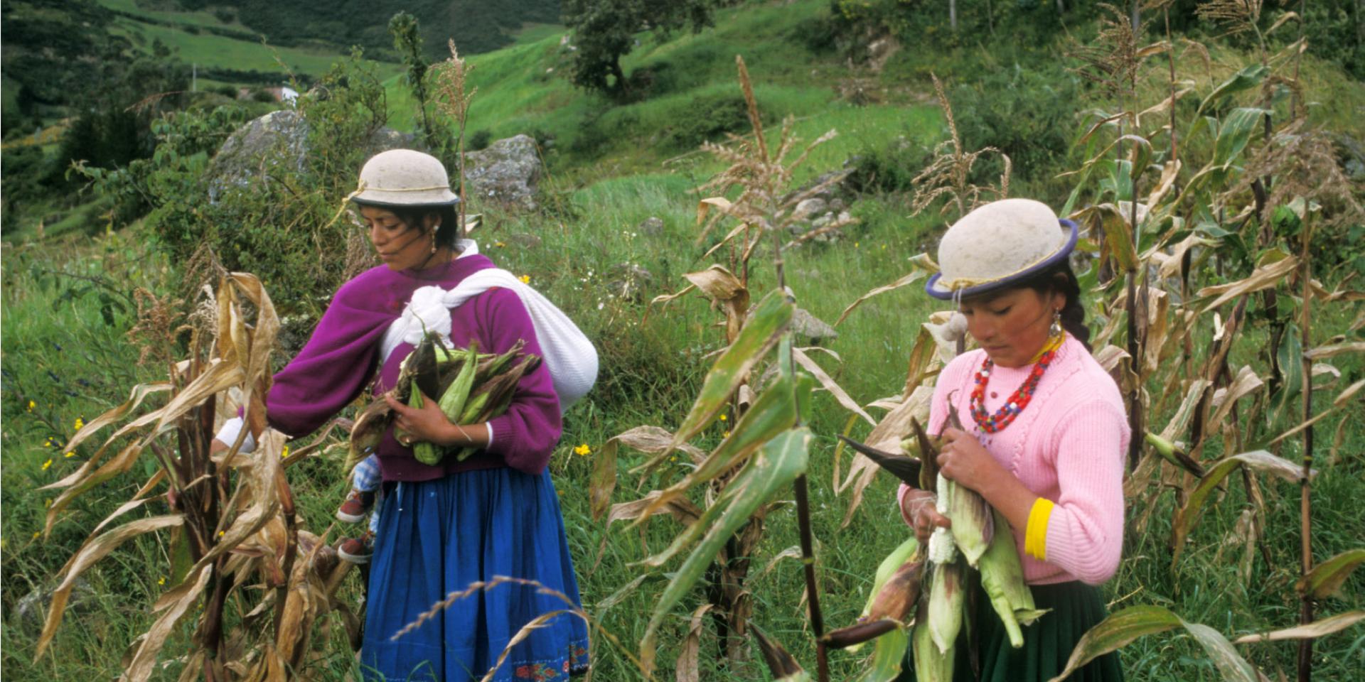 Women’s land ownership and decision-making