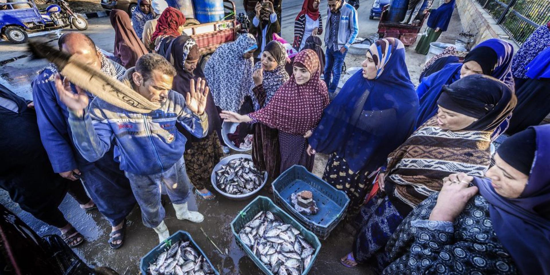 Women fish retailers negotiate fish prices