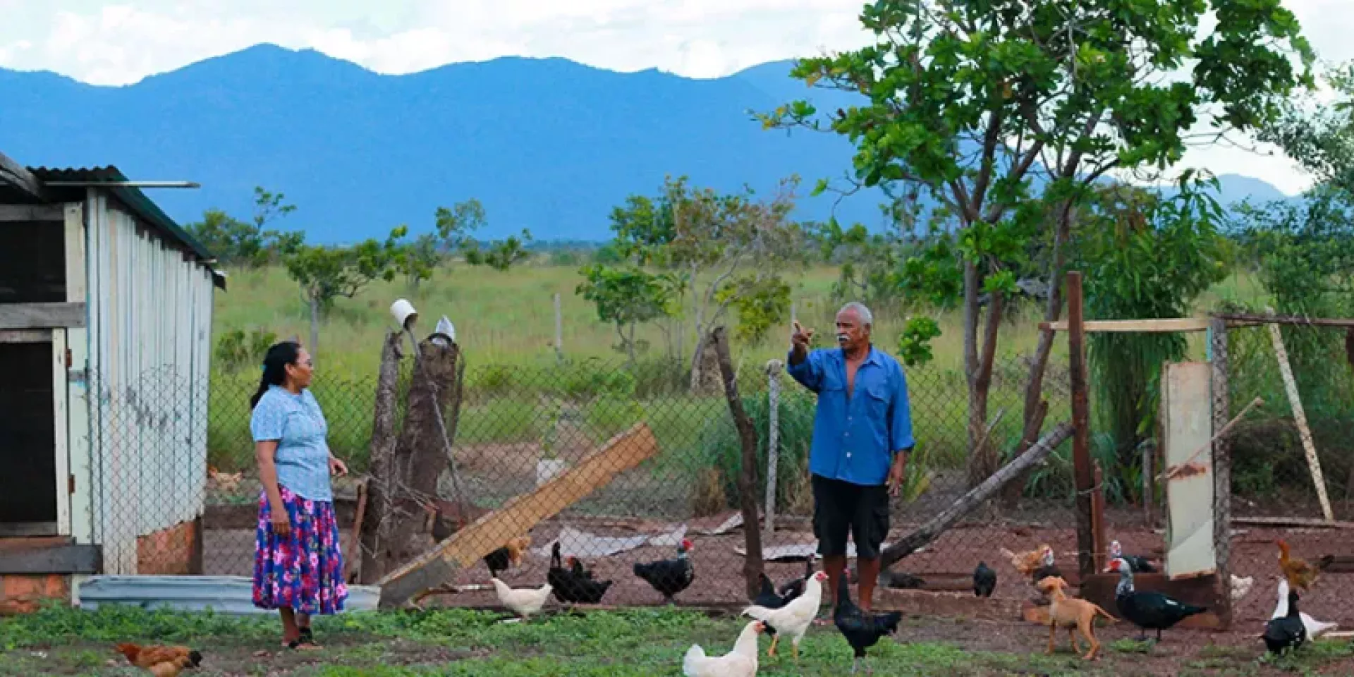 Flora Gomes along with her husband Patrick Gomes get ready to feed the chickens before locking them in their pen. ©FAO/Luke McKenna 