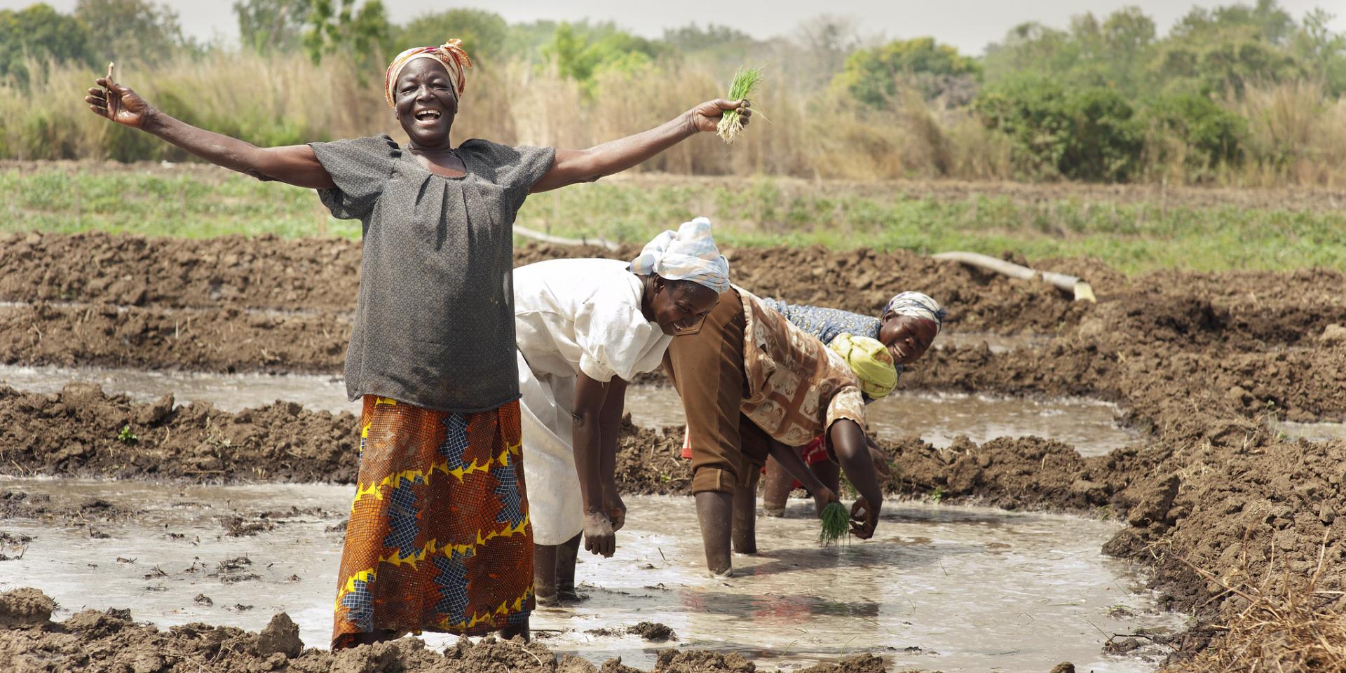 Photo of women in Ghana