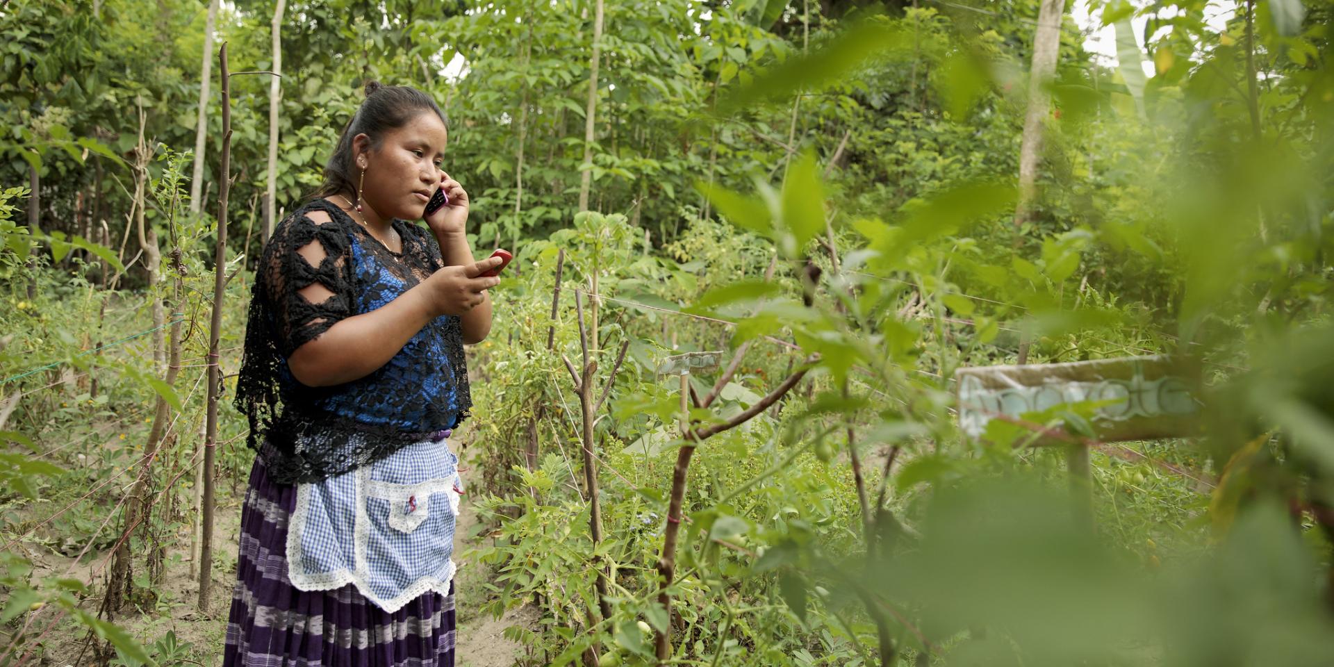 UN Women Guatemala - Rural Women Diversify Incomes and Build Resilience