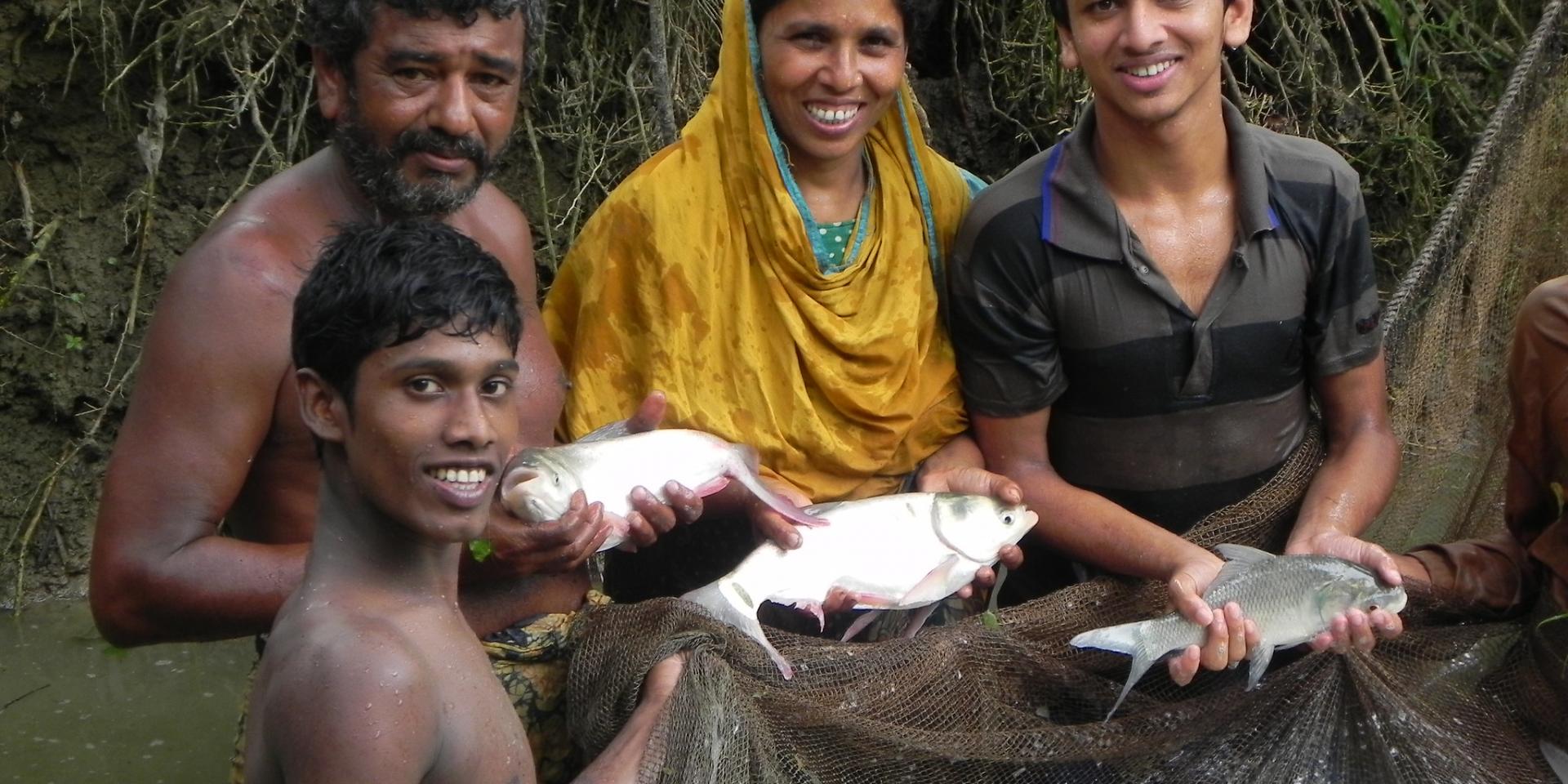 Fish production