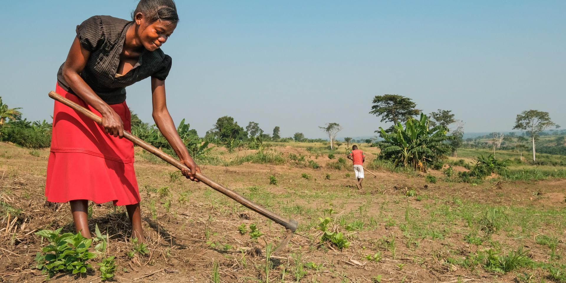 Woman working the land in Congo