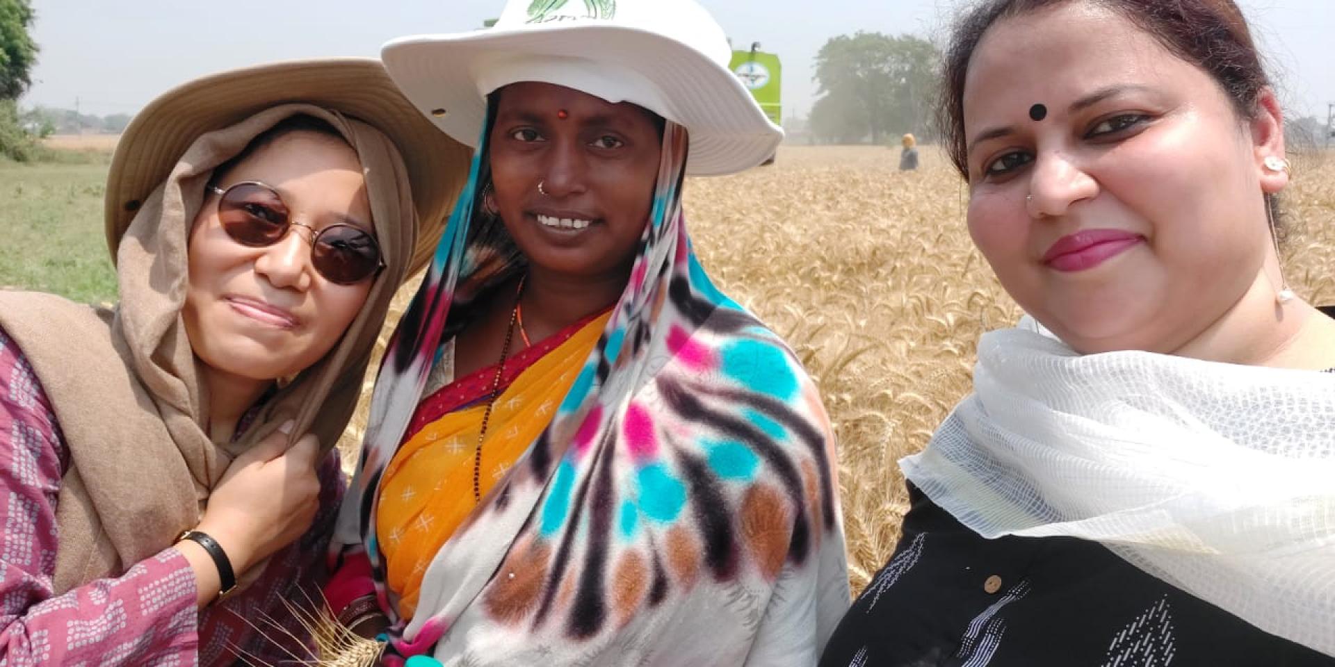 Women participate in a public harvest event for timely sown wheat organized by the Cereal Systems Initiative for South Asia (CSISA) project with Krishi Vigyan Kendra (KVK) in in Nagwa village near Patna in Bihar, India.