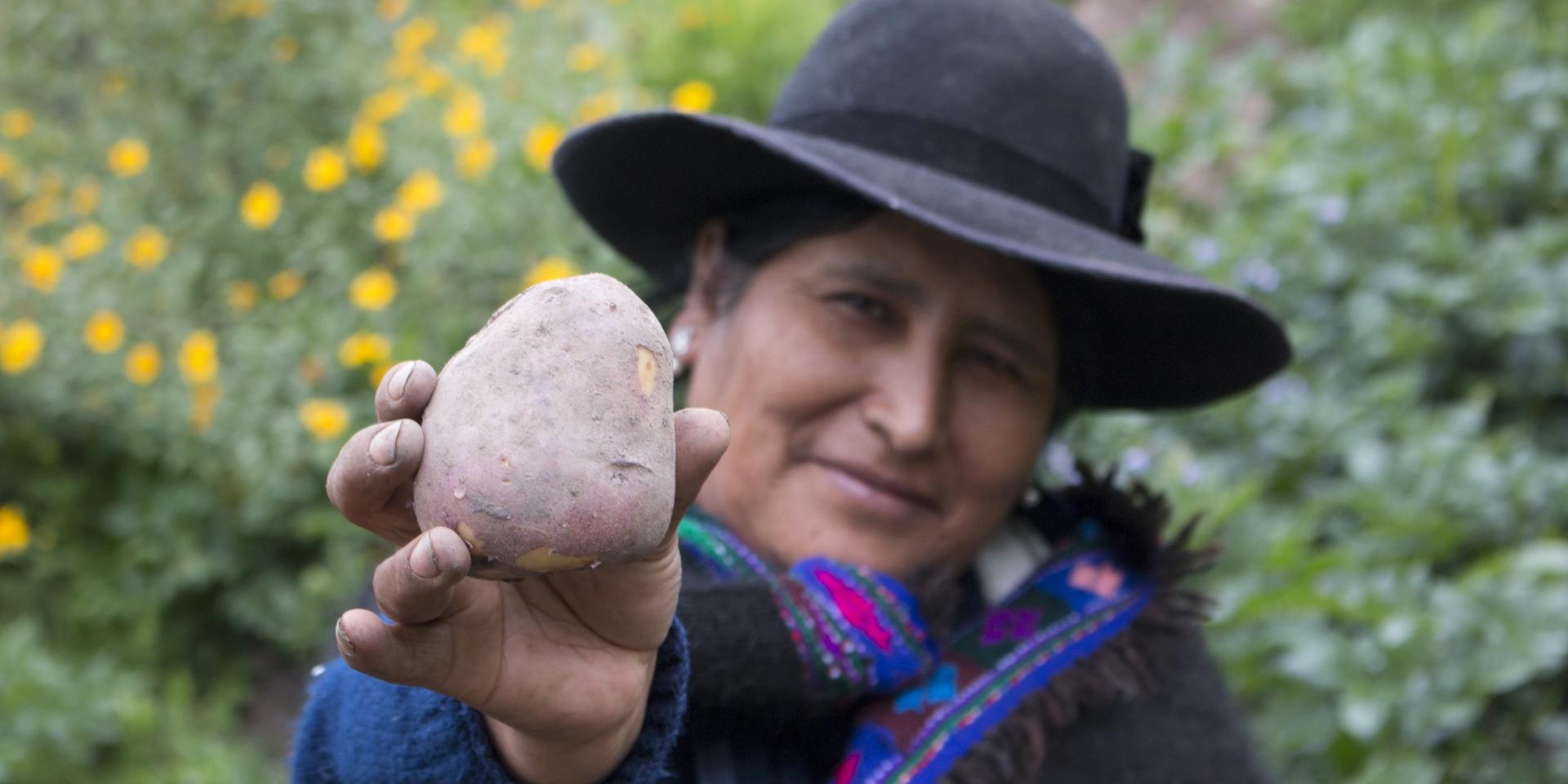 Photo of Peruvian woman w potato