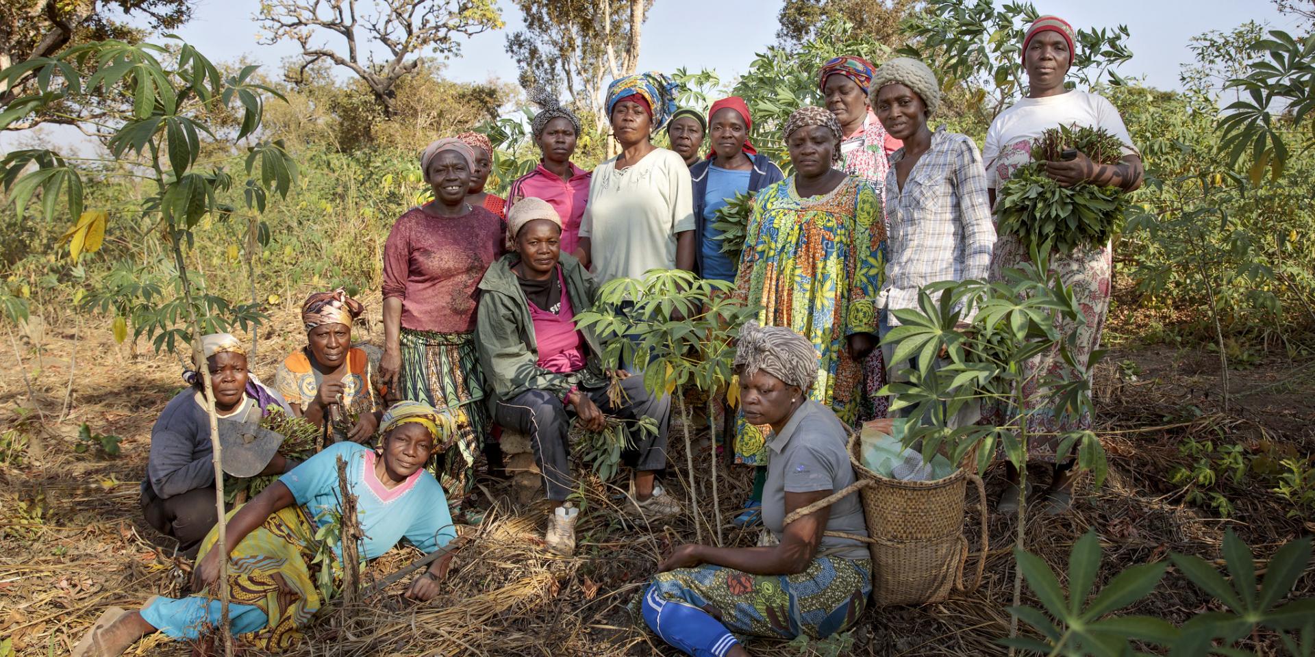 Cameroon women farmers