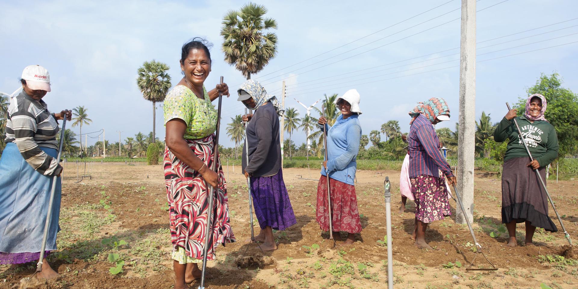 A group of women in a farm in Sri Lanka