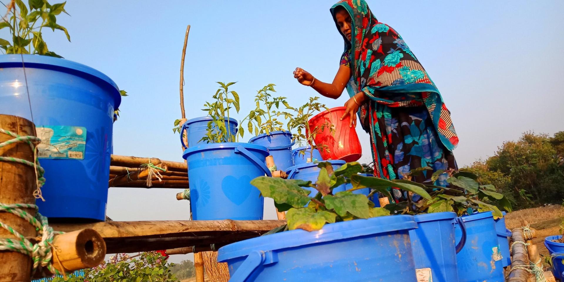 UNDP Bangladesh