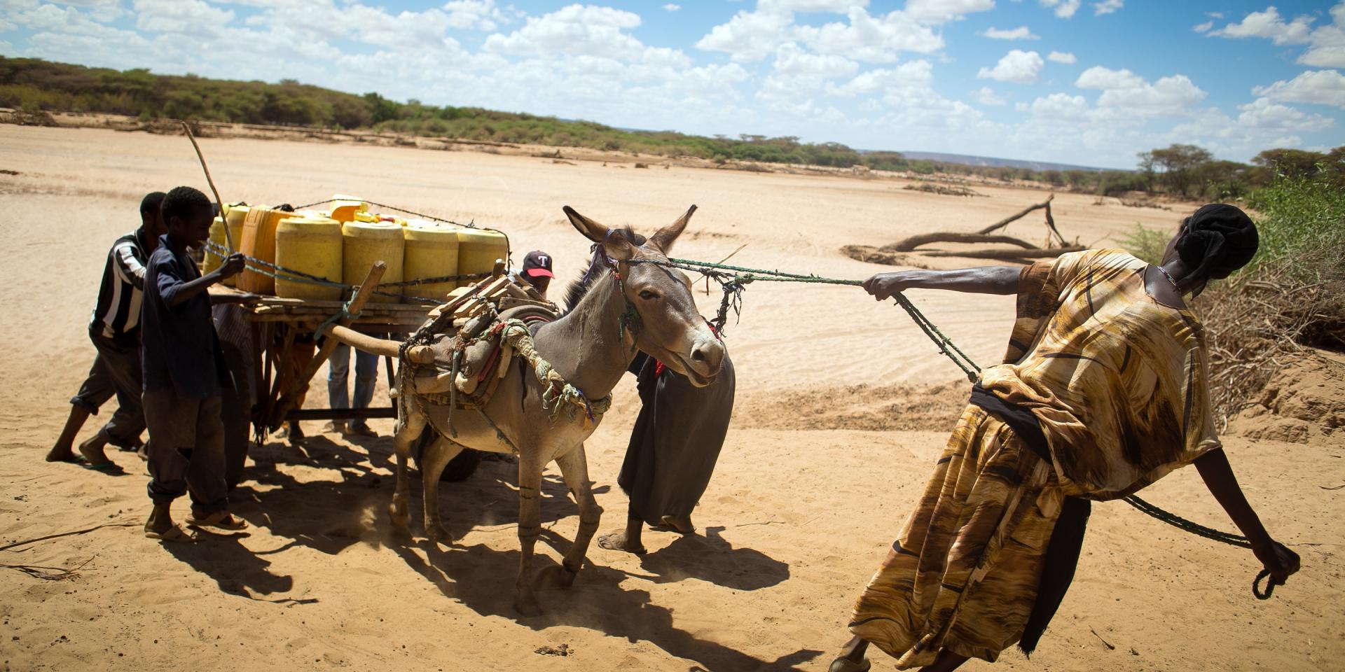 Photo of woman and children helping a donkey out from Ewaso Ngiro dry river basin