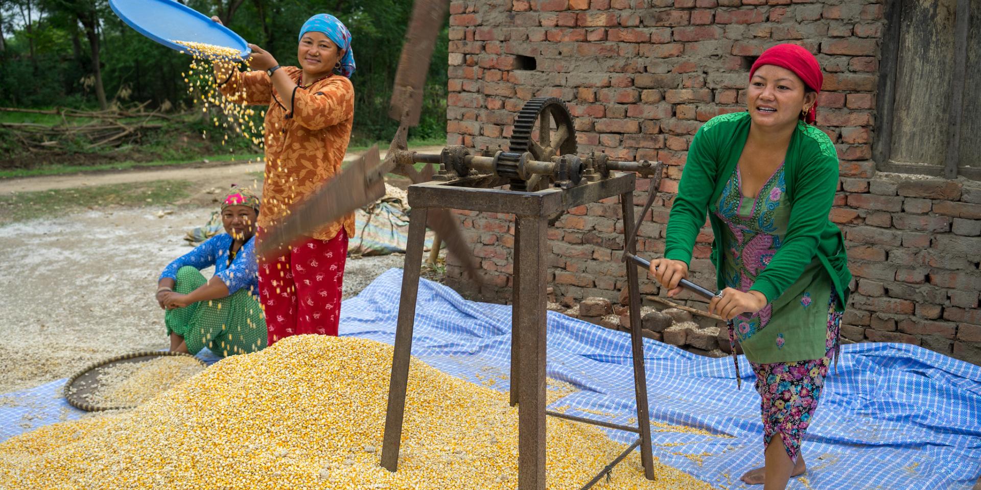 Women working