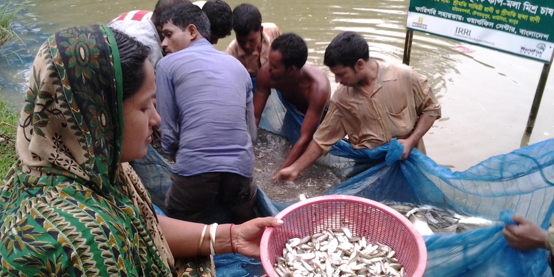 aquaculture