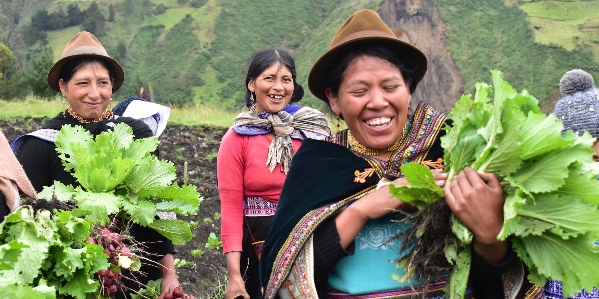 Andean women holding green plants