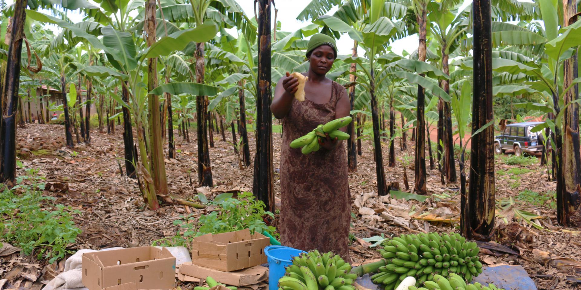 Woman with bananas