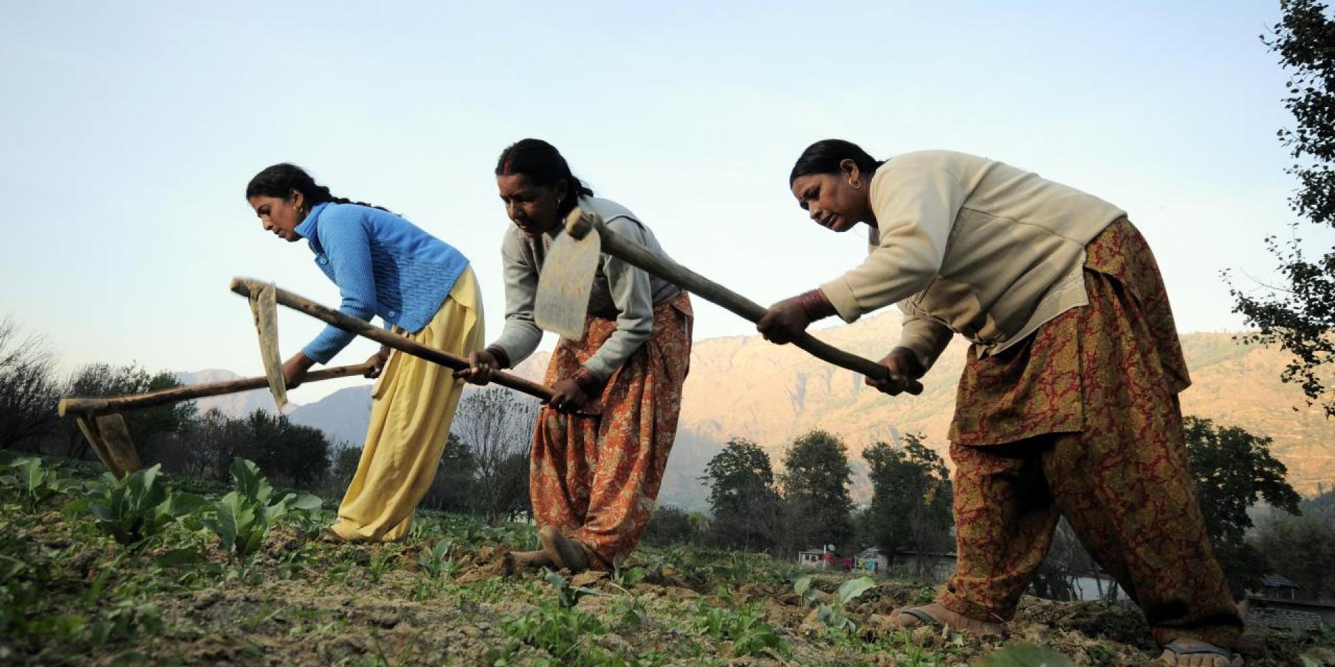 Photo of women in rural India