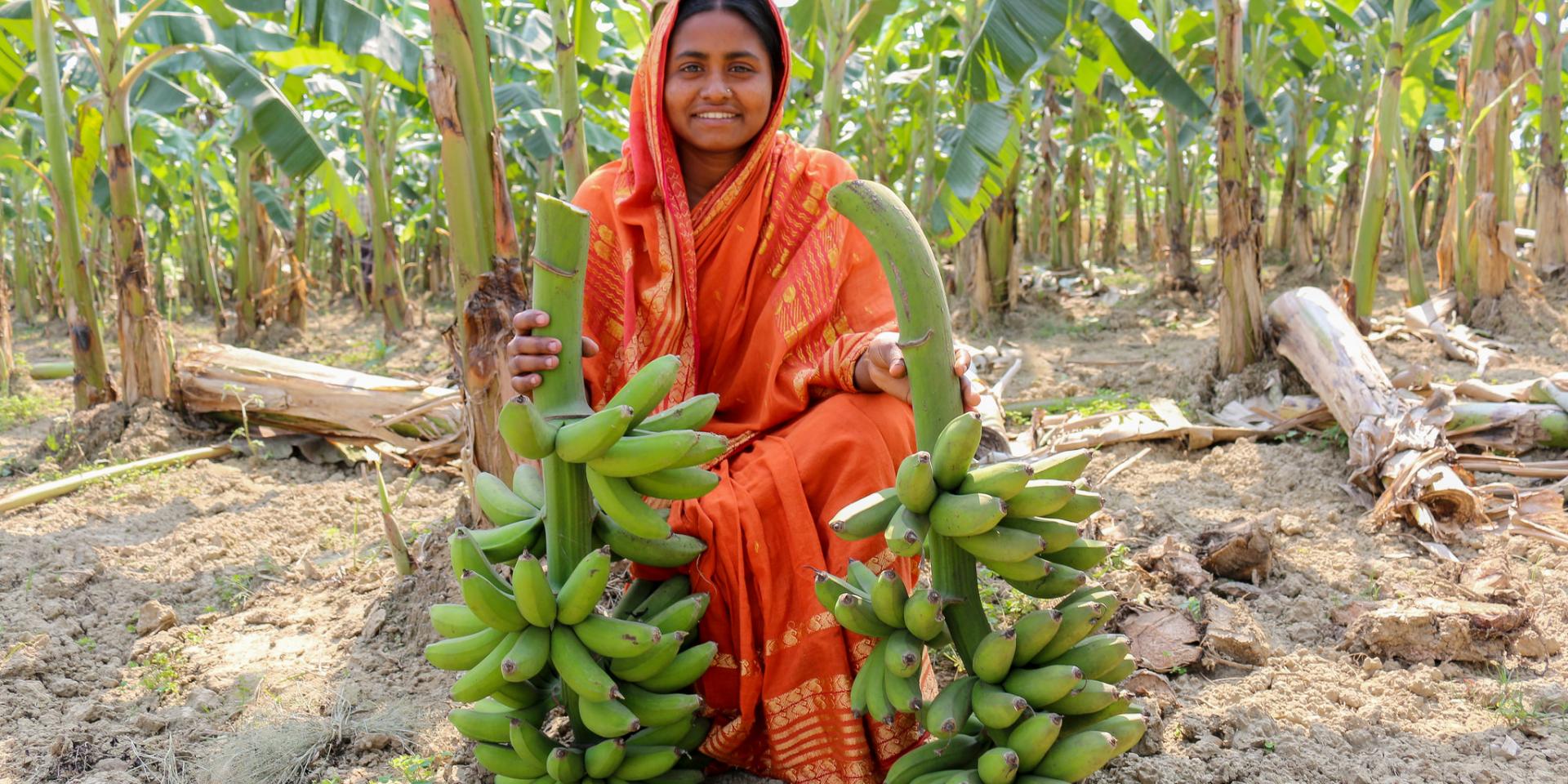 Banana farmer