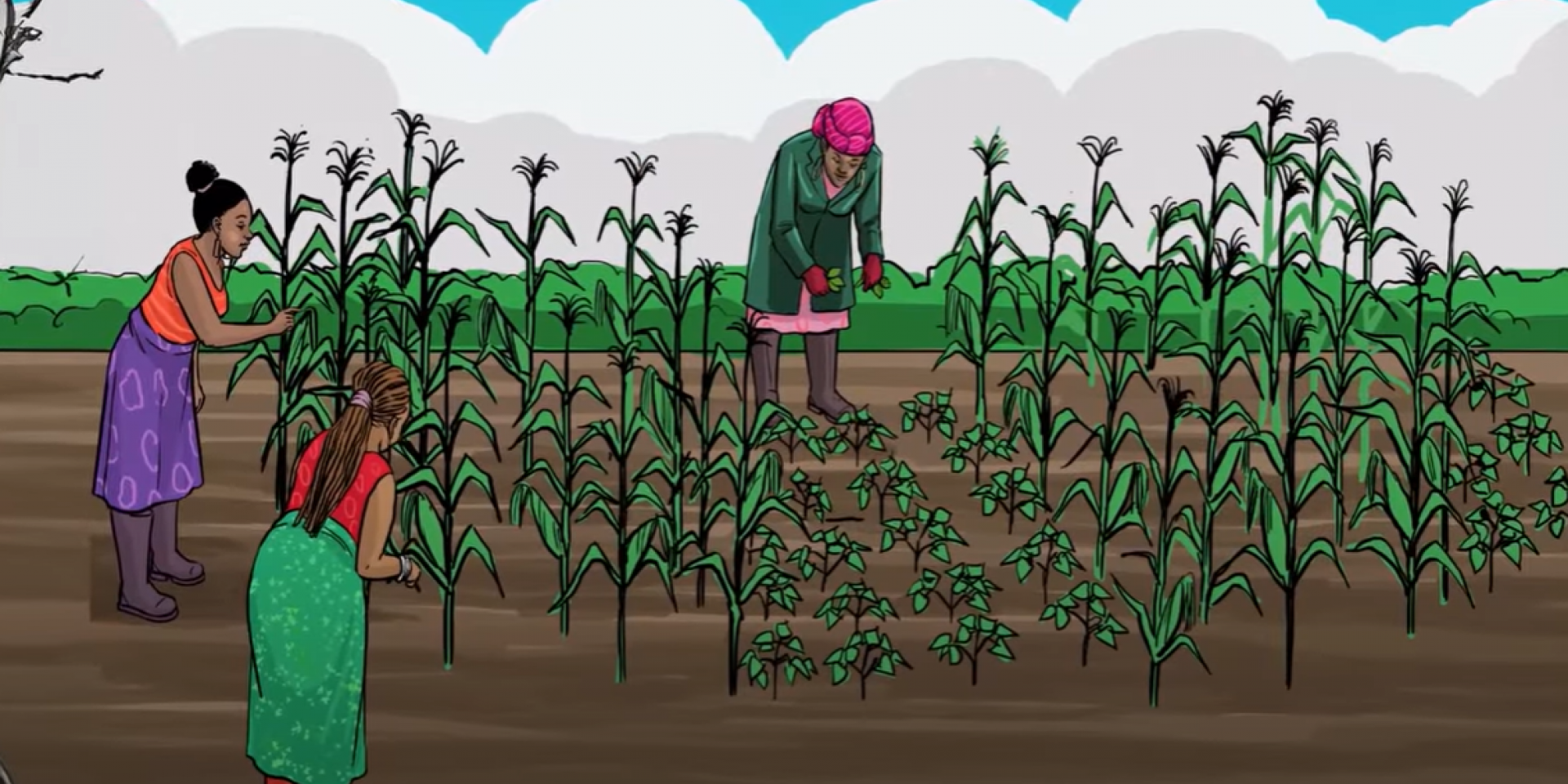 women working on a farm