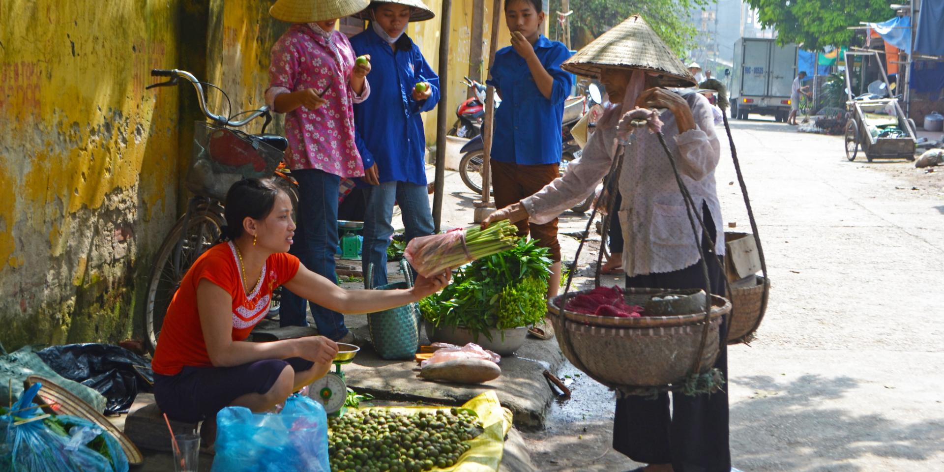 A roadside dracontomelum (dao dragon plum) saleswoman sells some citronella to a roaming vegetable vendor in Bac Ninh province, Vietnam. Photo: ILRI/Nguyen Ngoc Huyen. 