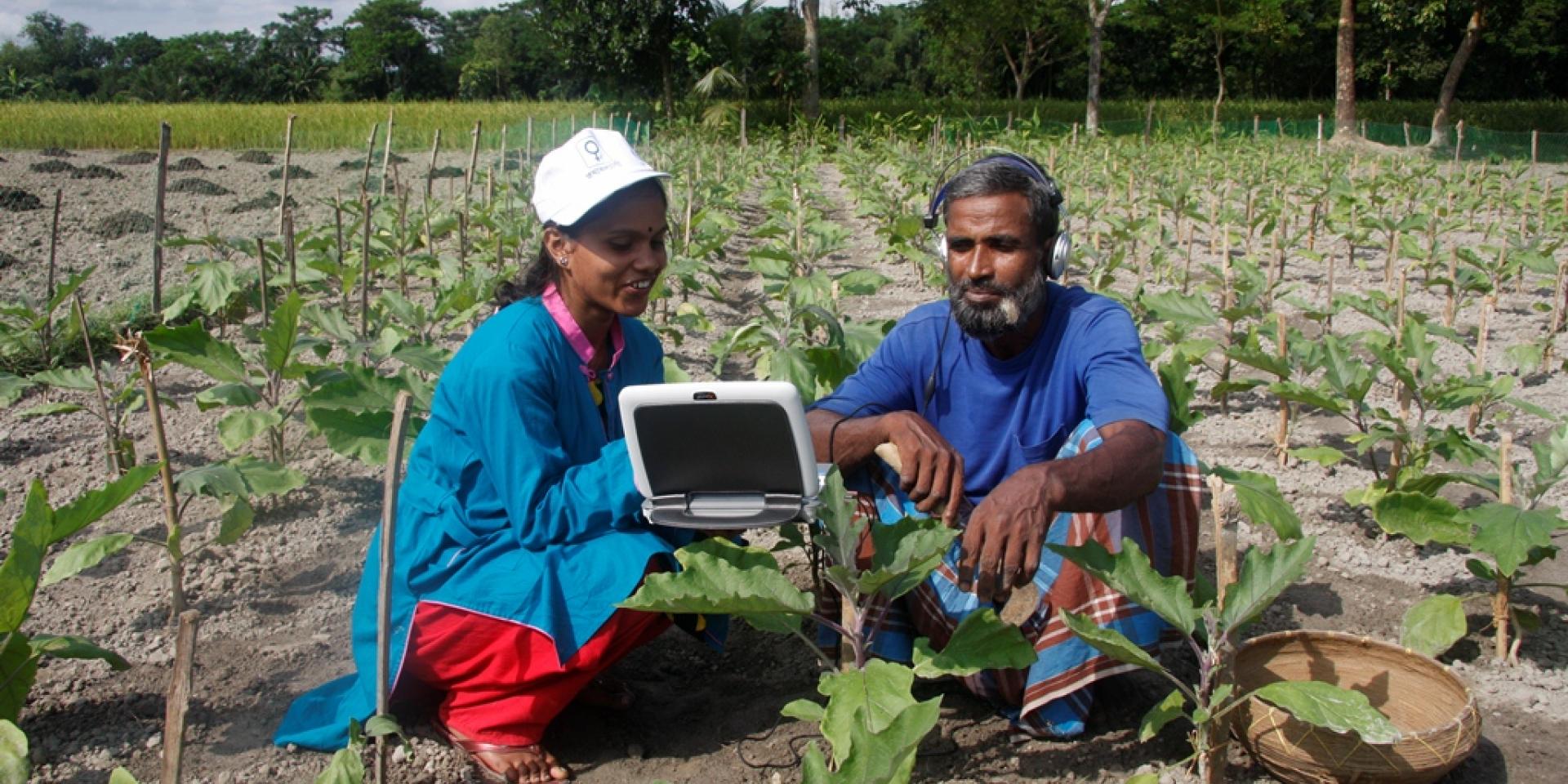 The Cereal Systems Initiative for South Asia project empowered young women by training them to provide ICT-based services to those who lack access to basic information on agriculture