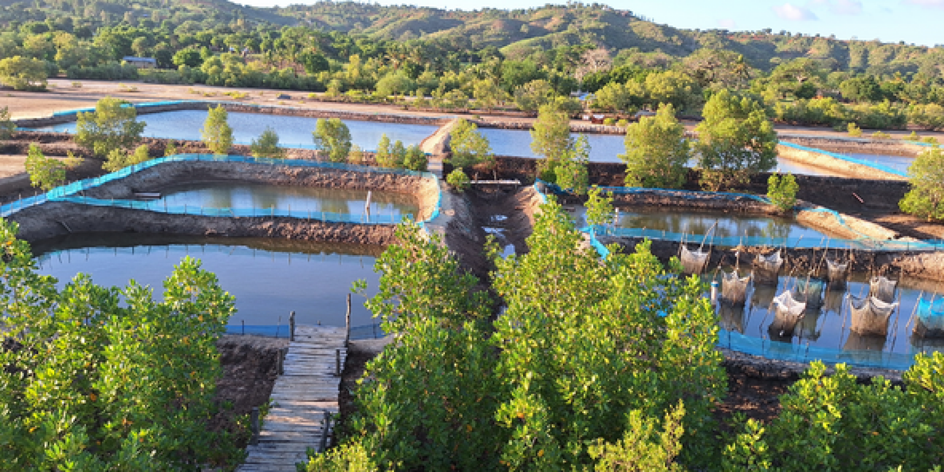 mariculture ponds