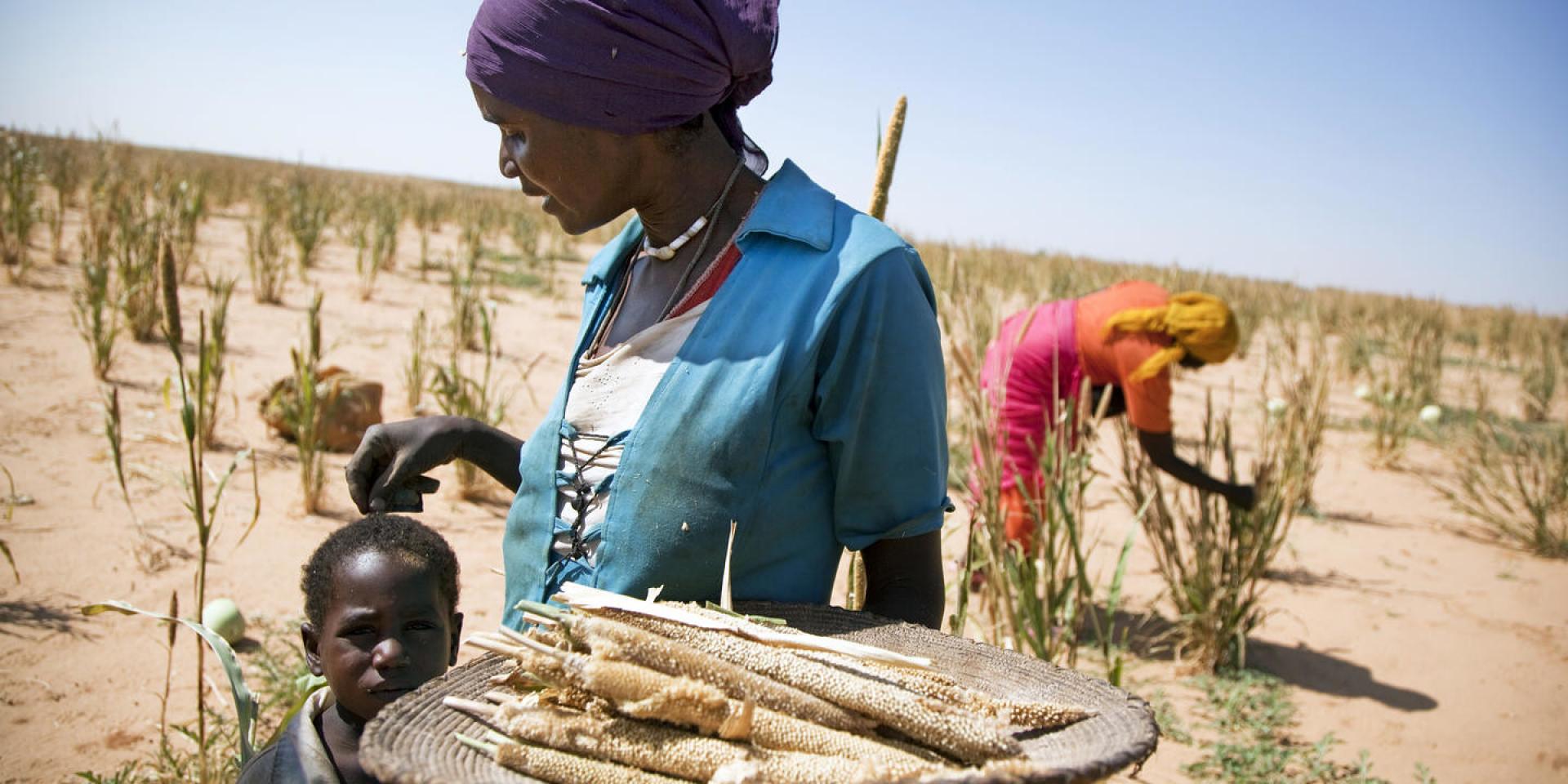 Rural farming