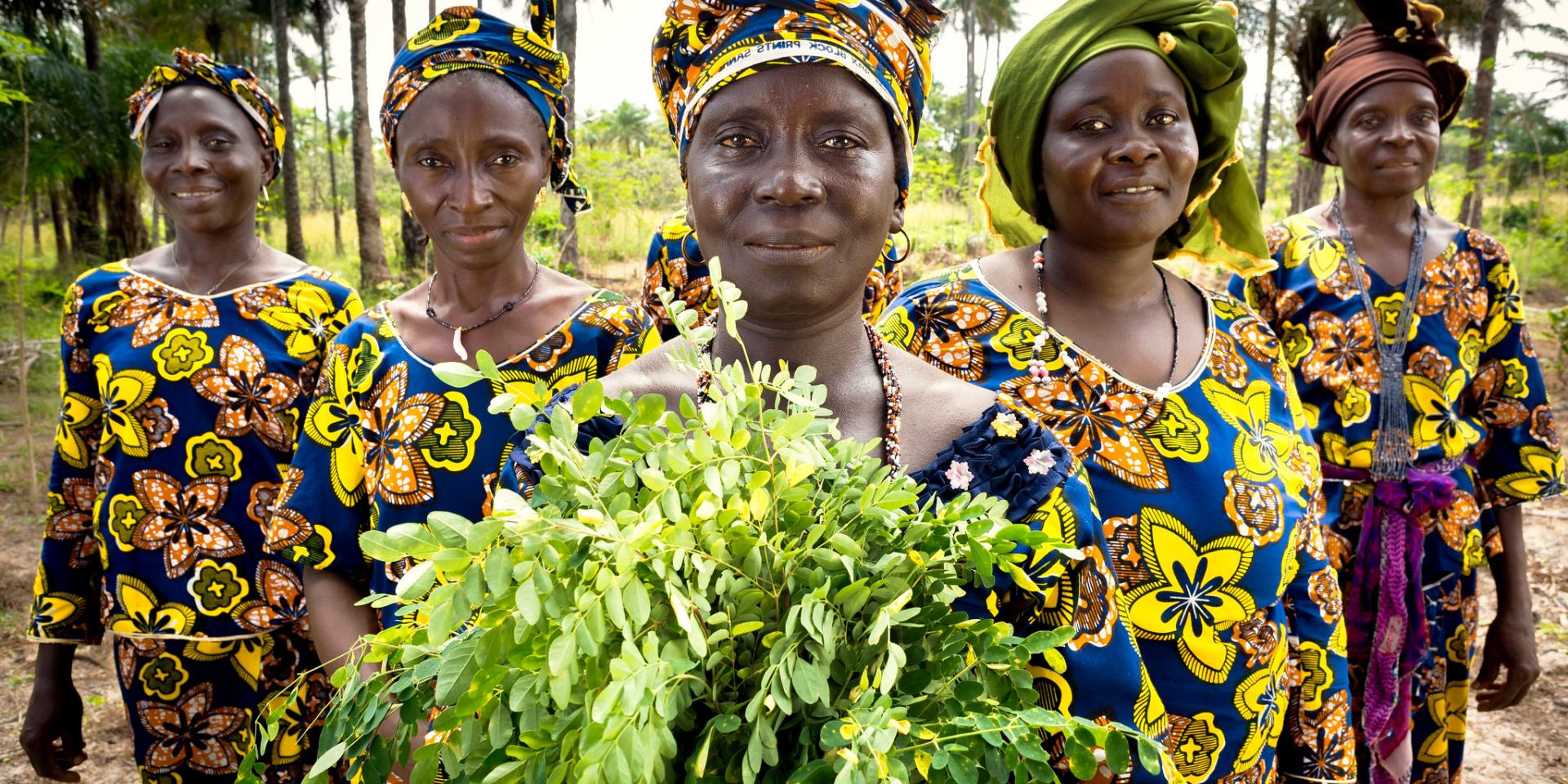 	 UN Women Guinea - Rural Women's Cooperative Generates Income and Improves Community Life