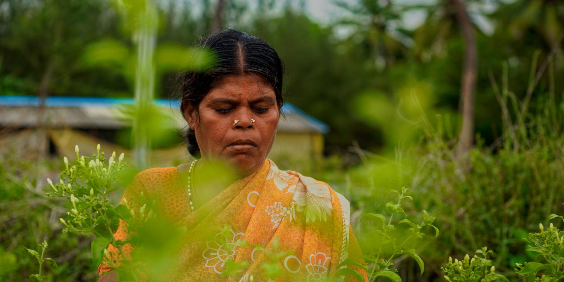 Rural Indian Women farming in flower field