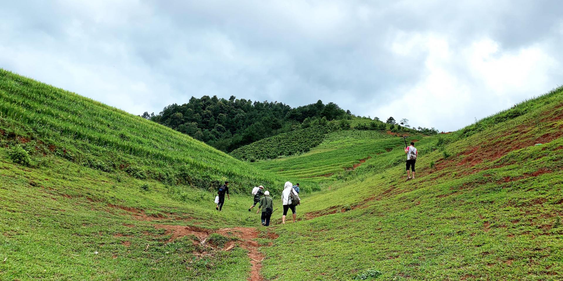 People walking in a field