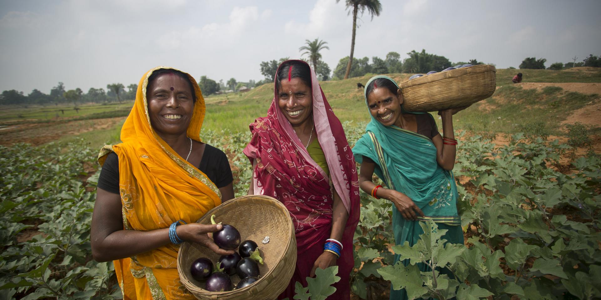 Women with vegetables in field