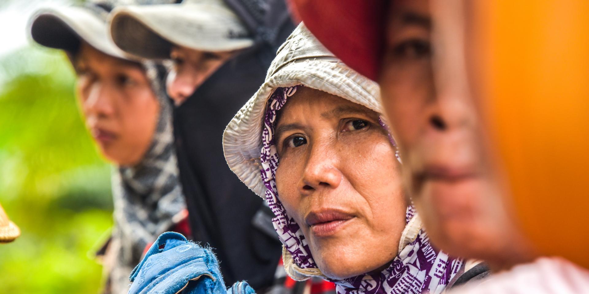 Women working in oil palm, Indonesia