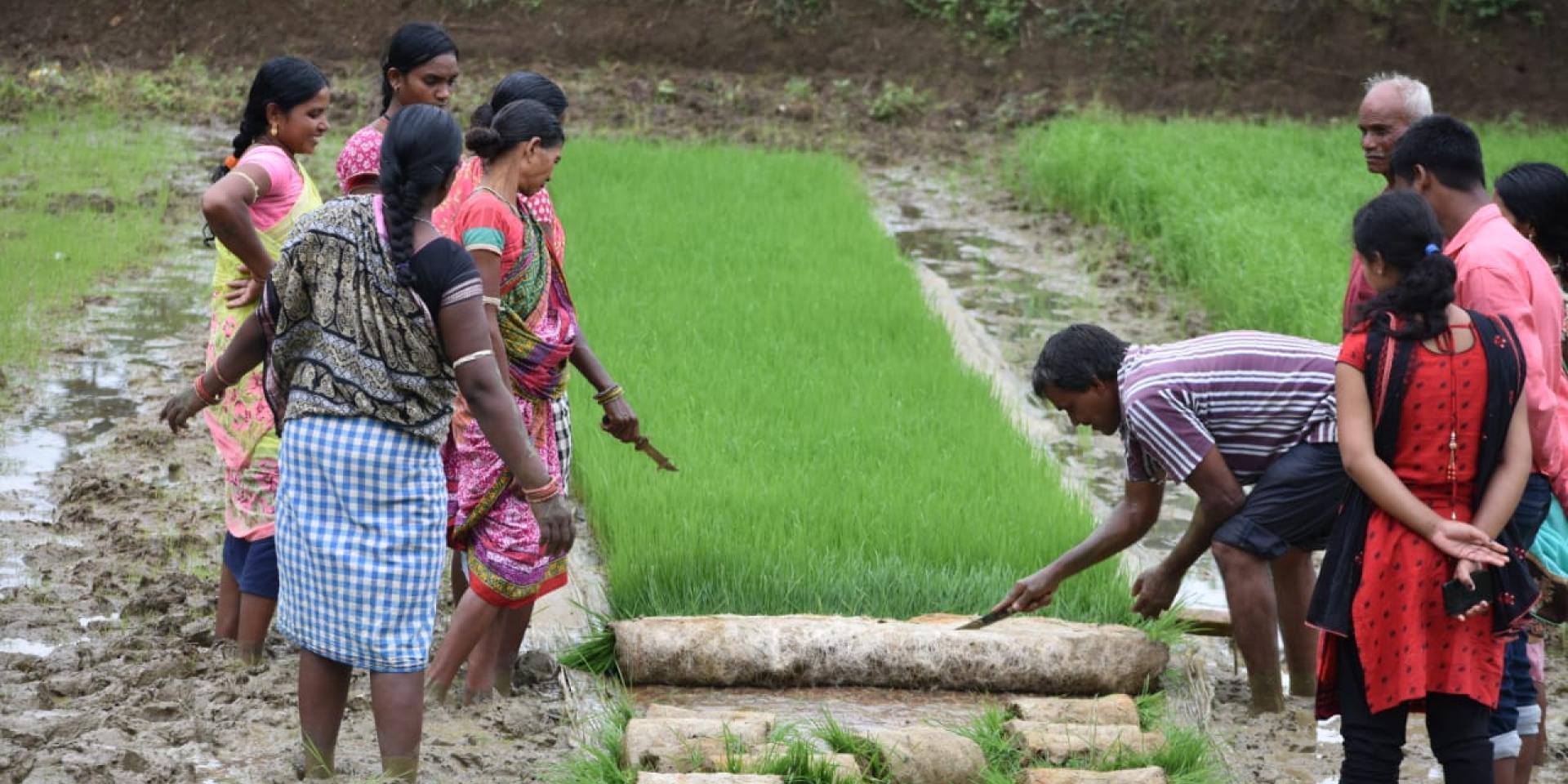 Group of farmers in India