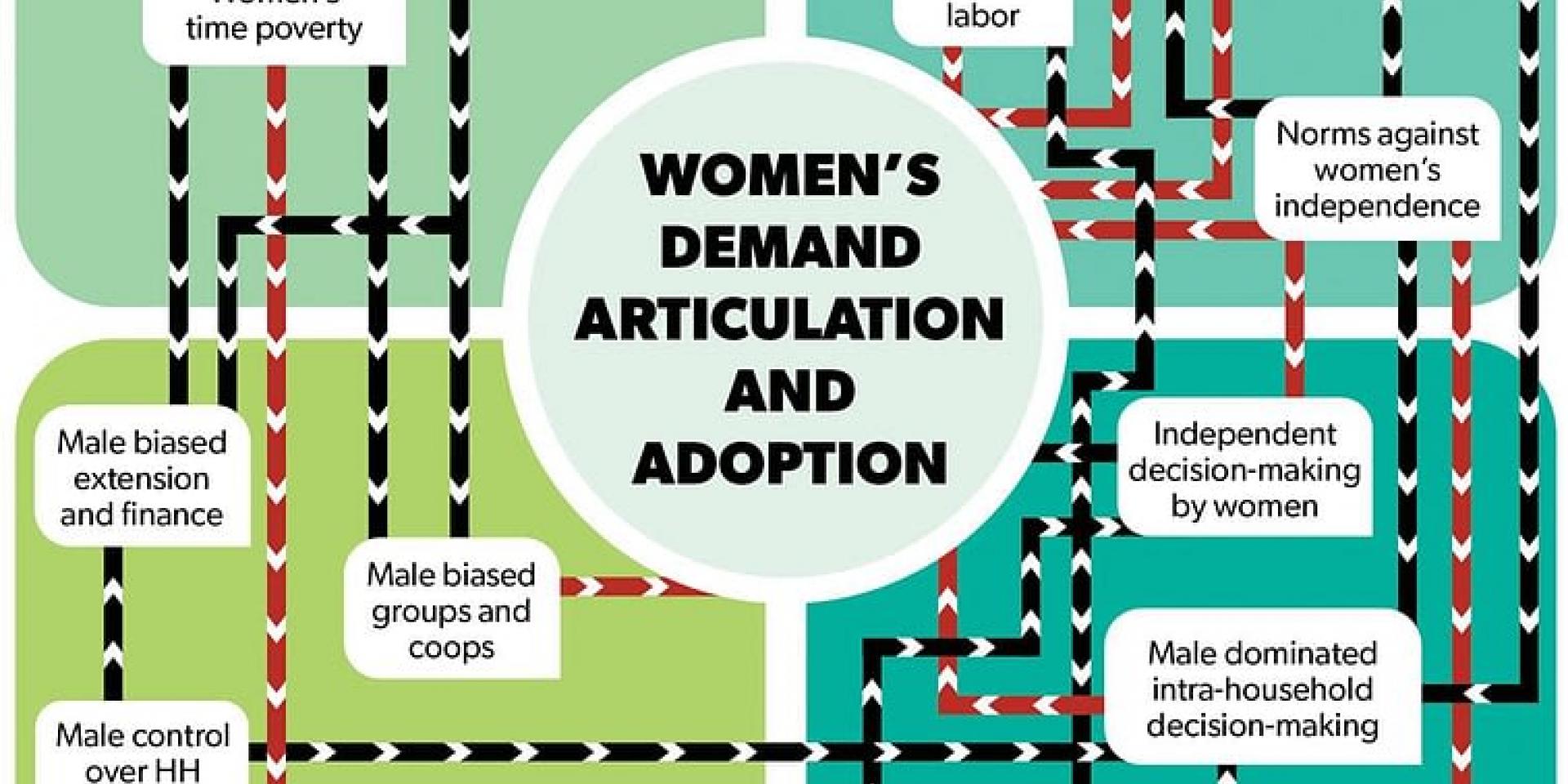 A diagram outlining gender dynamics