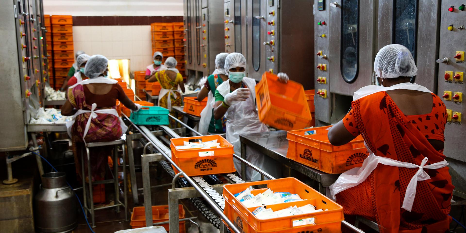 Women in dairy factory in India