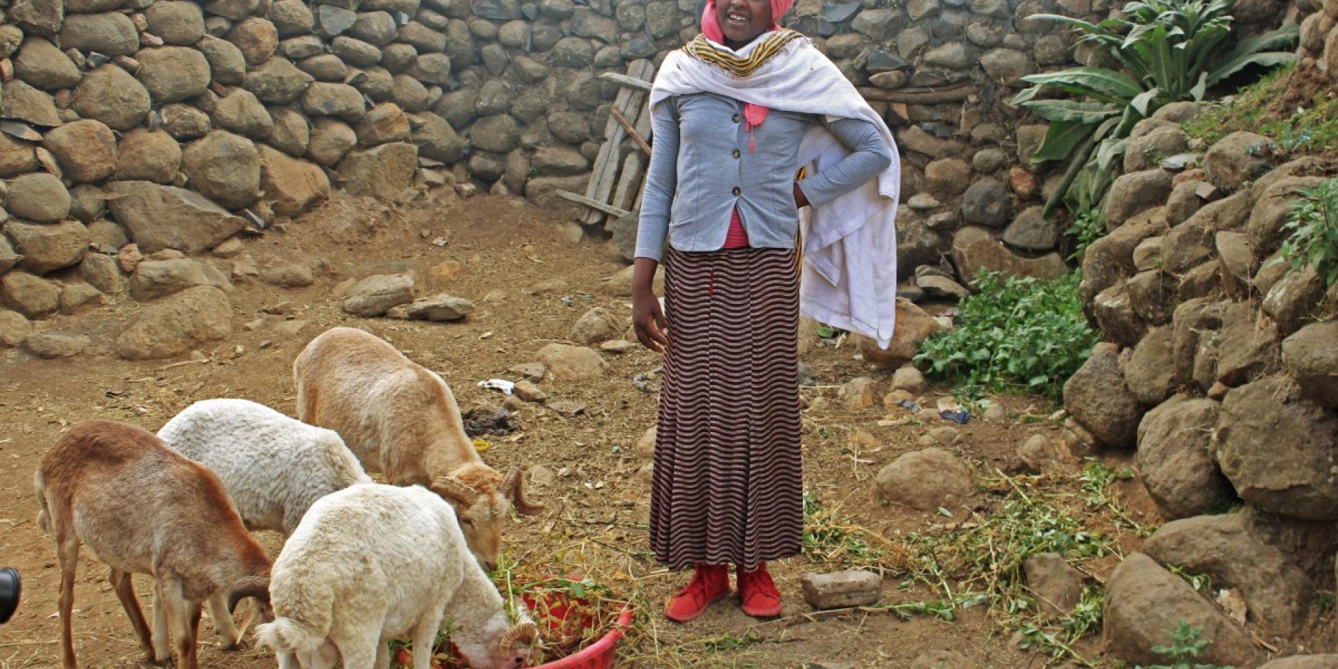 Woman with sheep